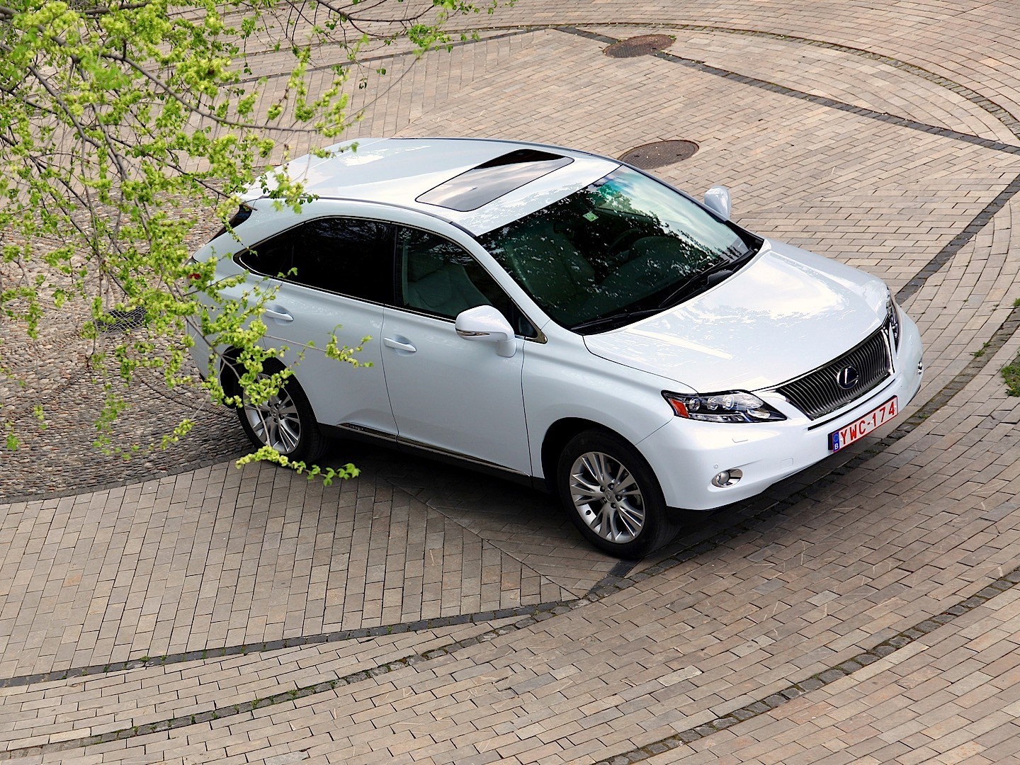 Lexus Rx photo 37
