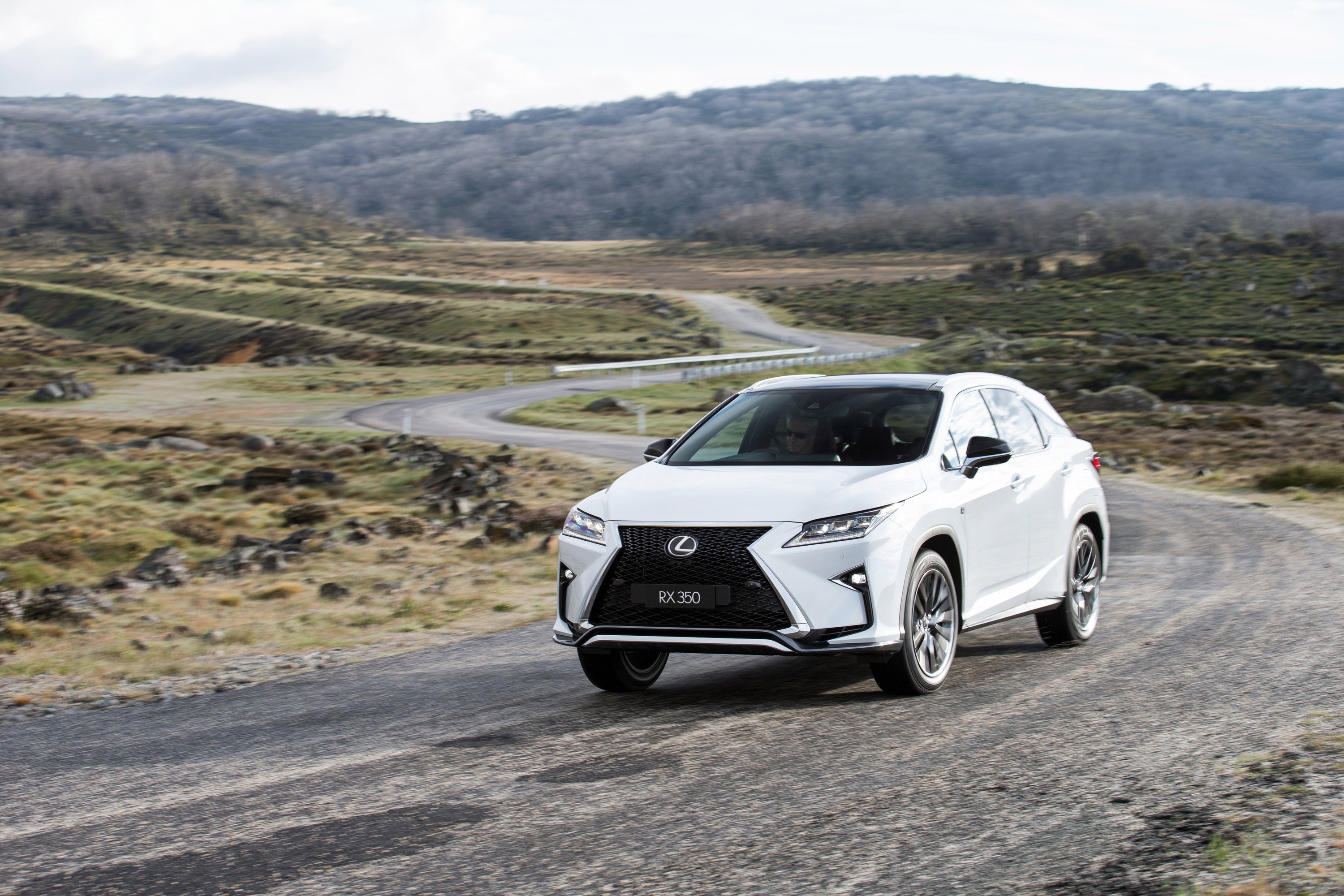 Lexus Rx photo 64
