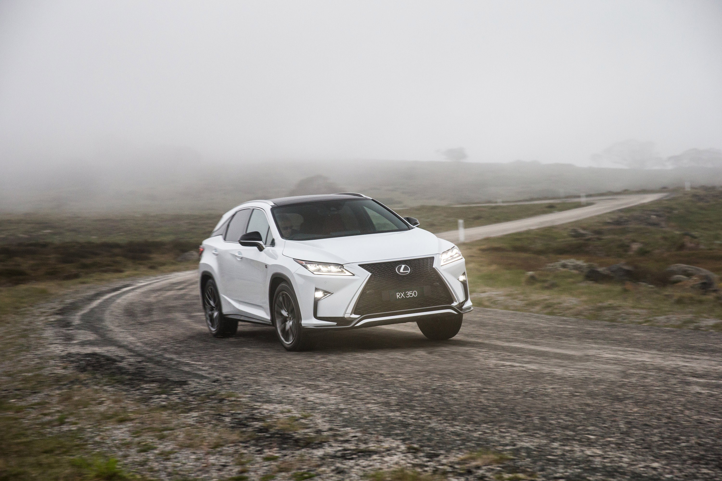 Lexus Rx photo 65