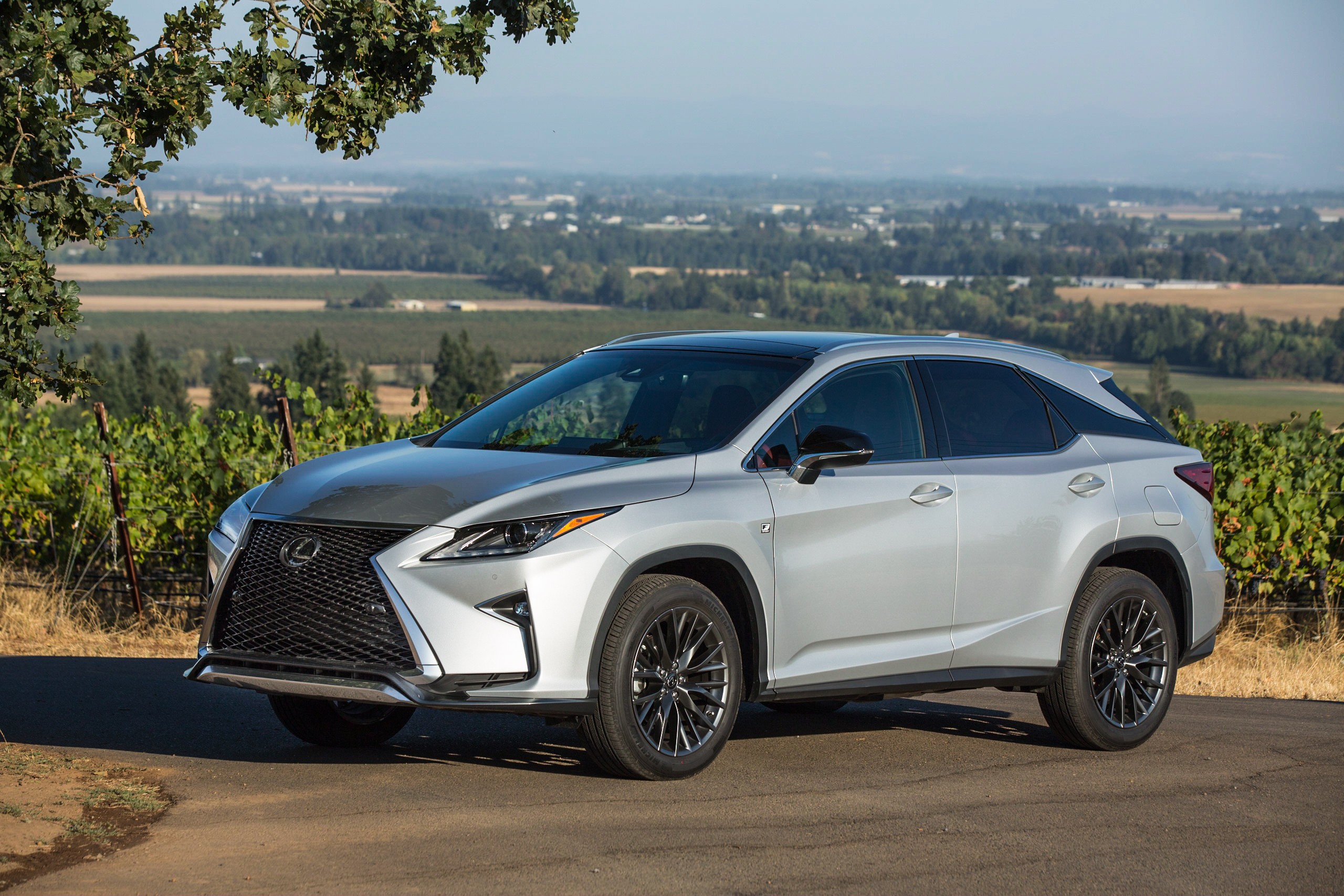 Lexus Rx photo 69