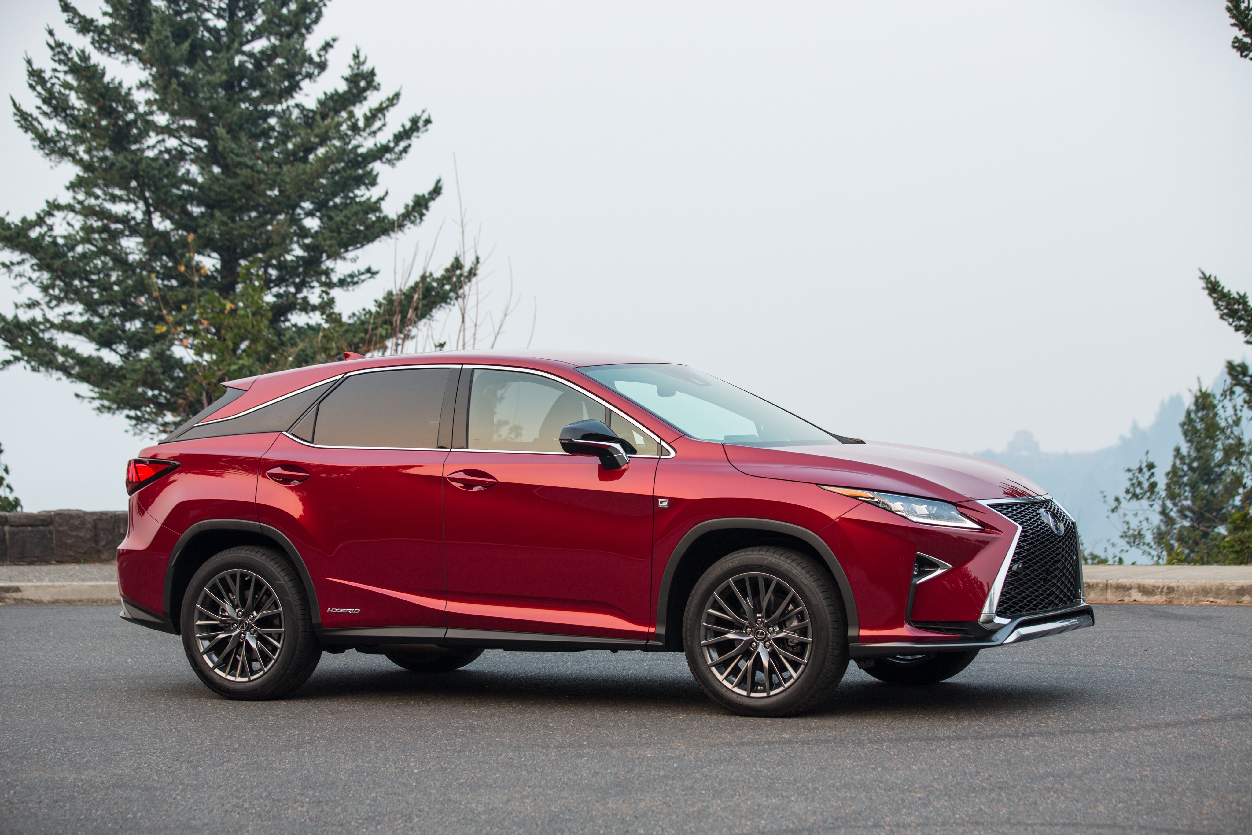 Lexus Rx photo 18