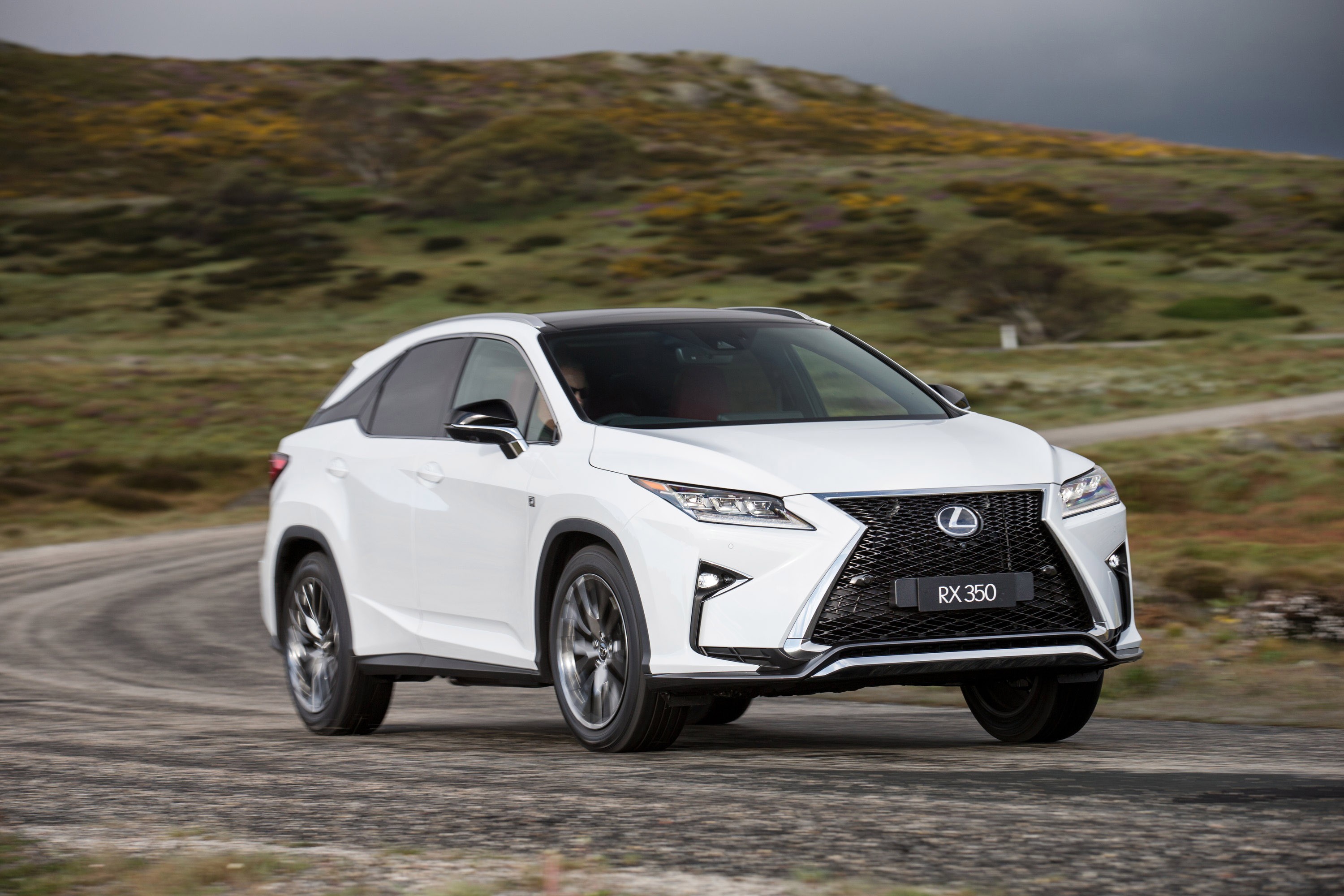 Lexus Rx photo 56