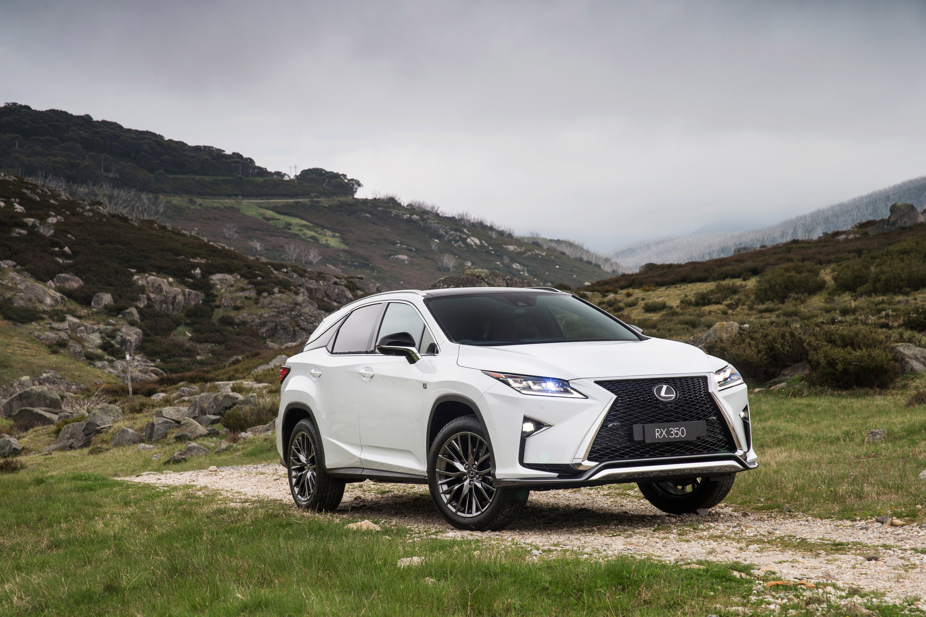Lexus Rx photo 57