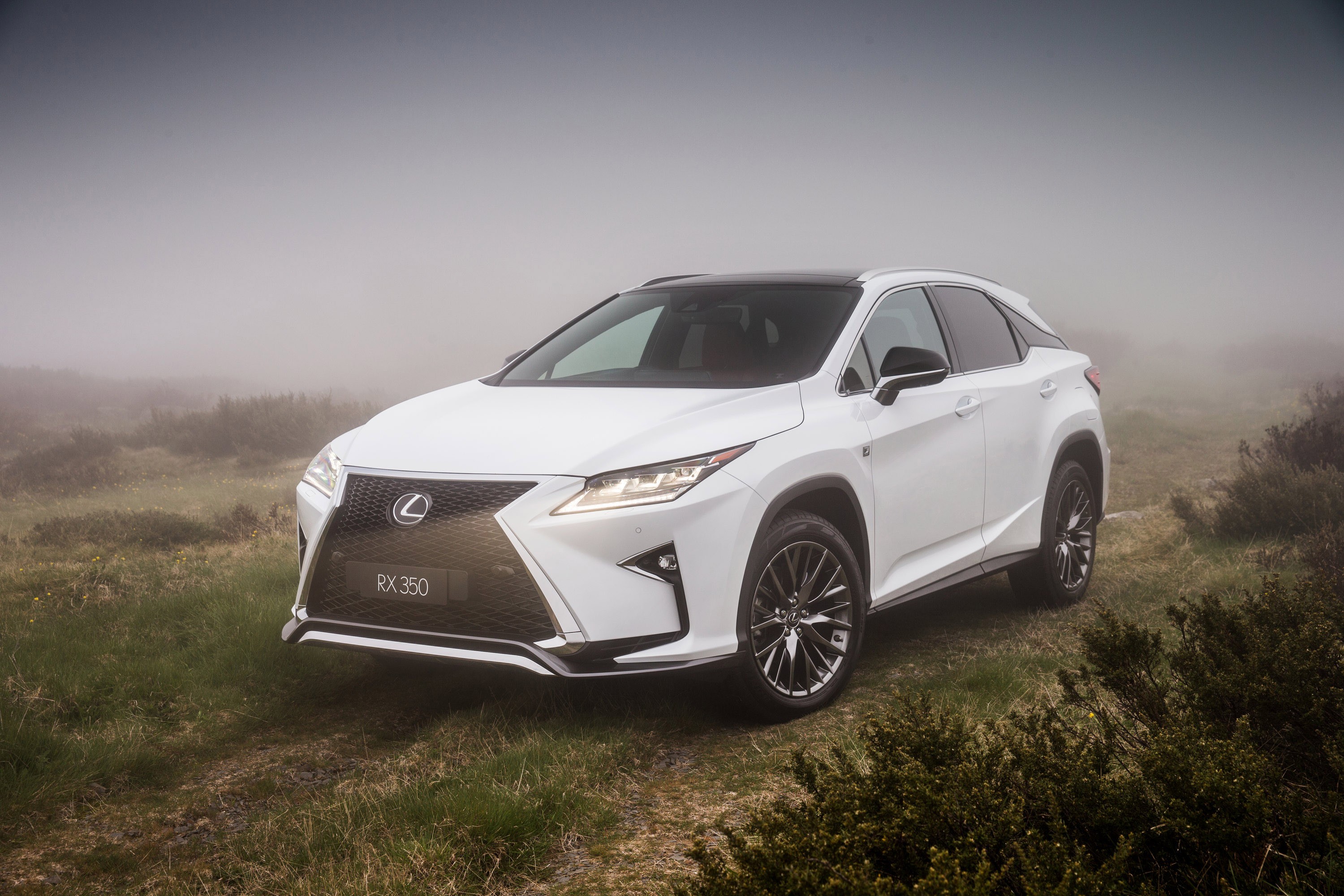 Lexus Rx photo 58