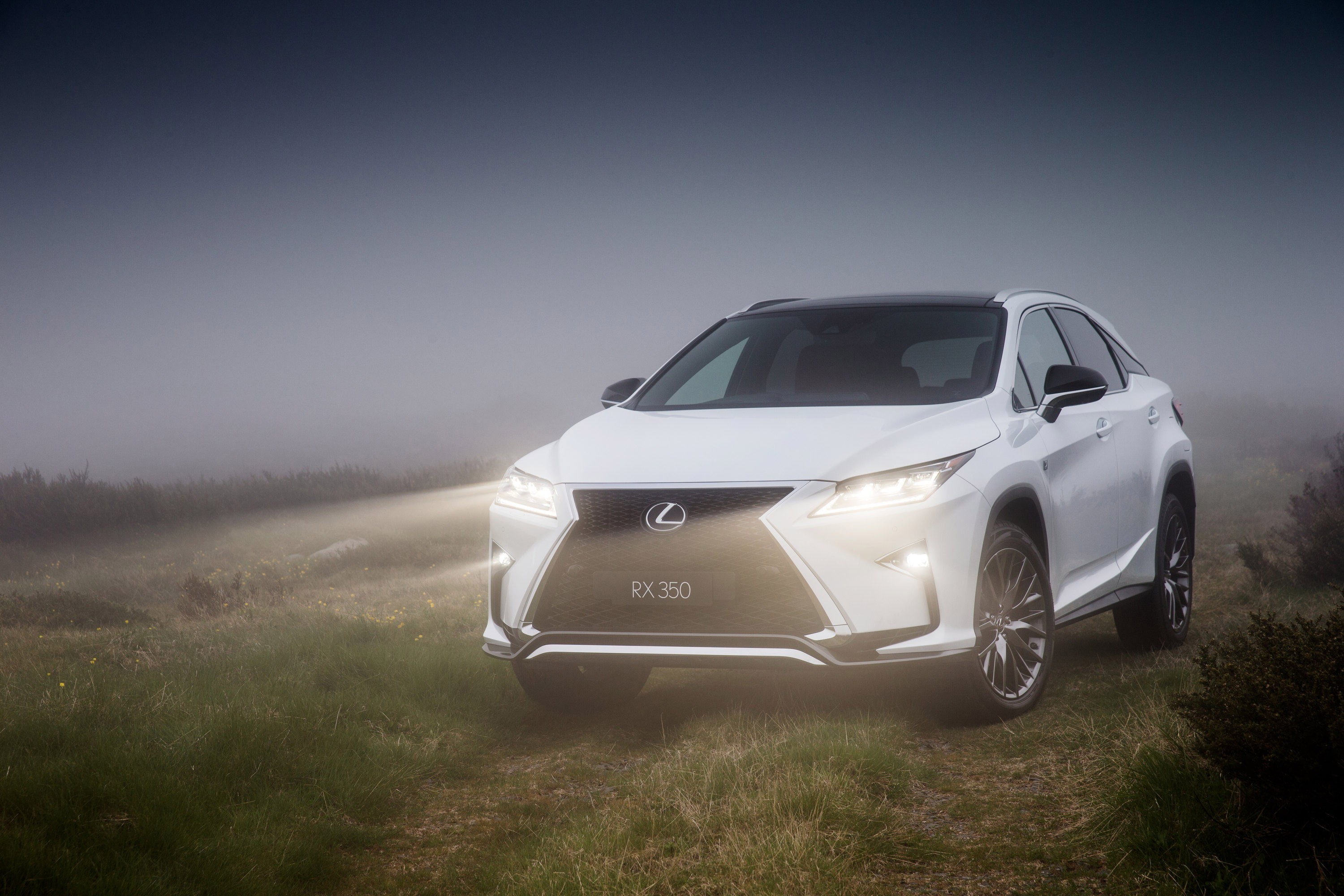 Lexus Rx photo 59