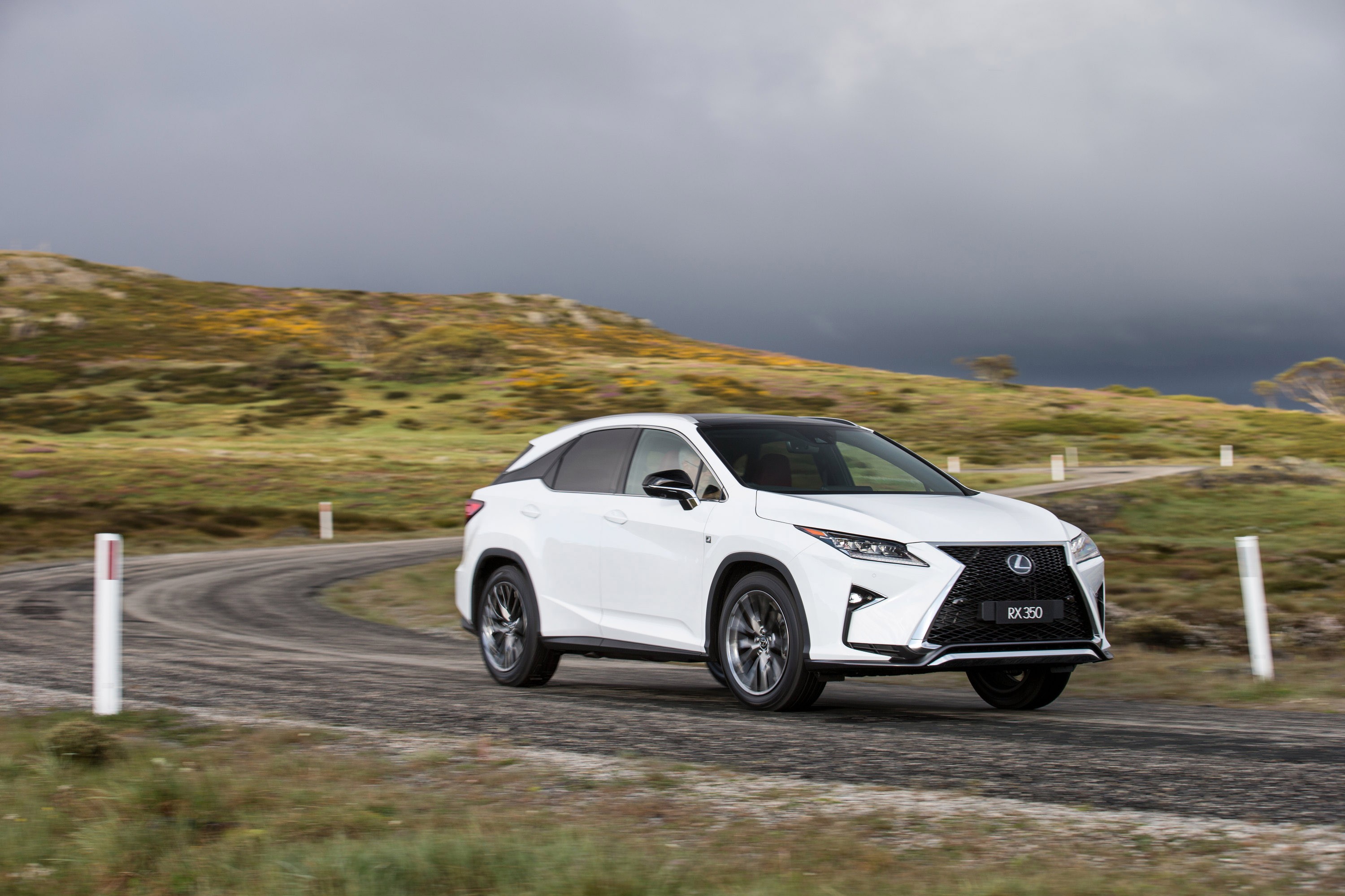 Lexus Rx photo 60