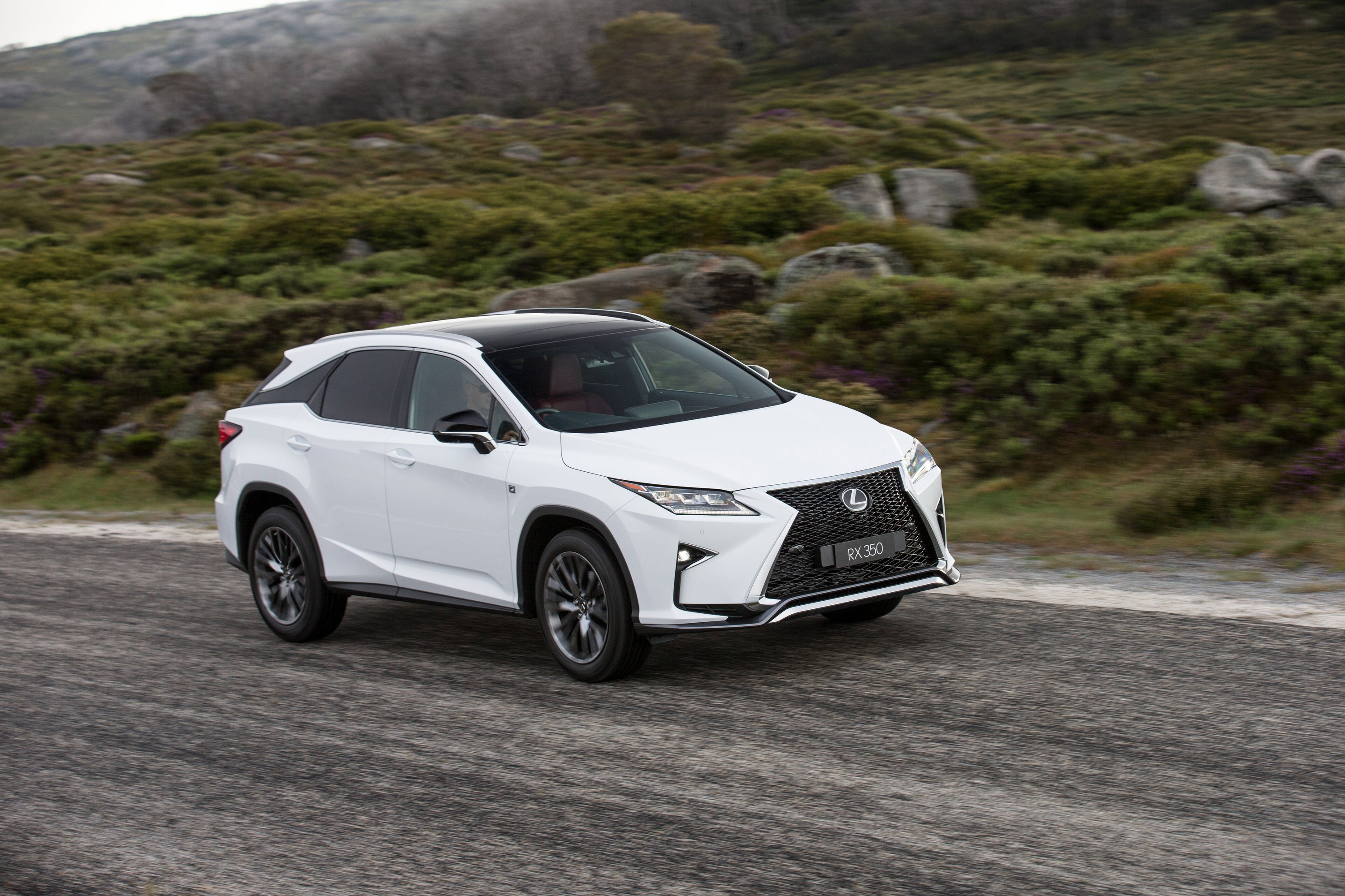 Lexus Rx photo 61