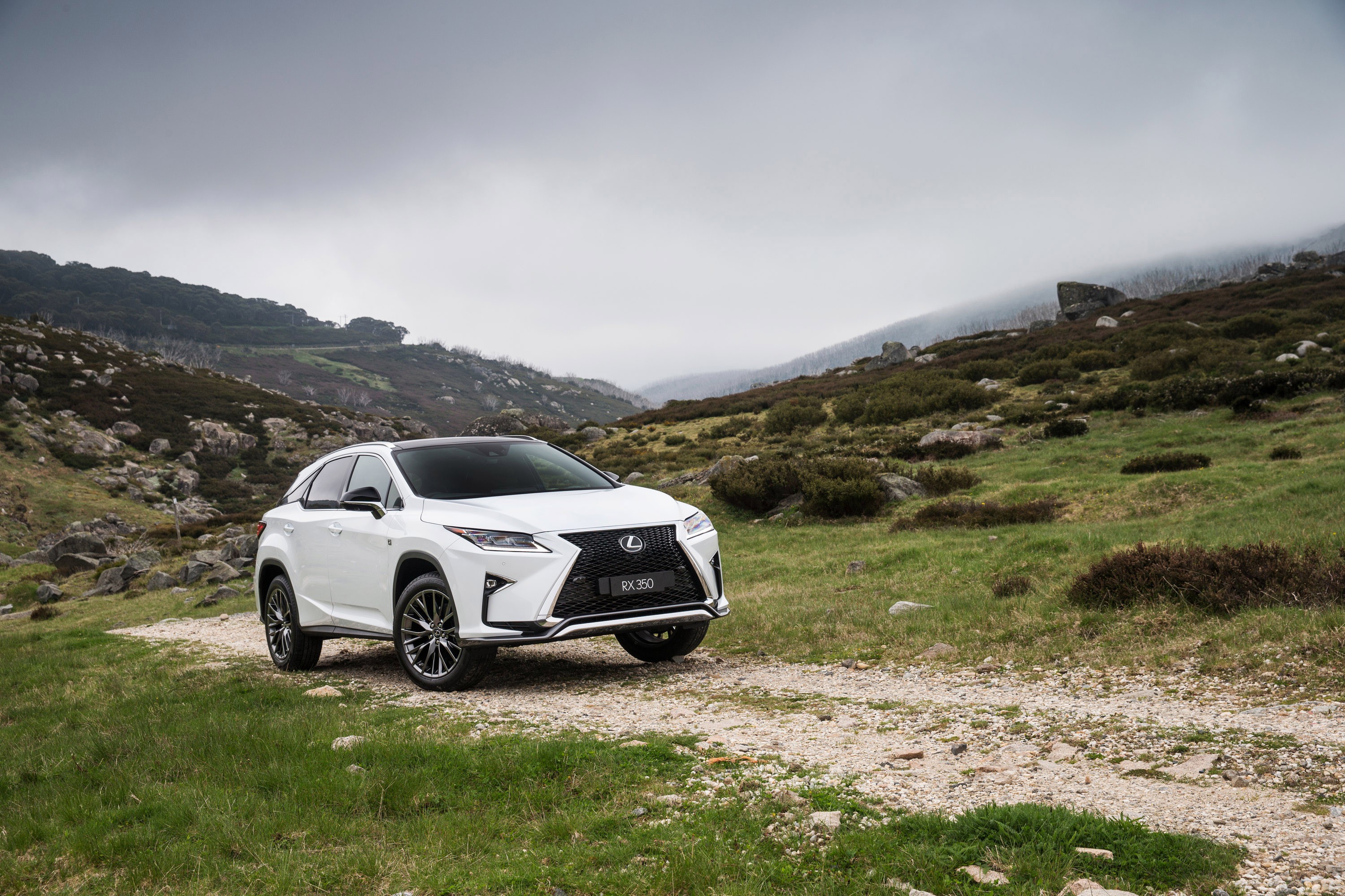 Lexus Rx photo 62
