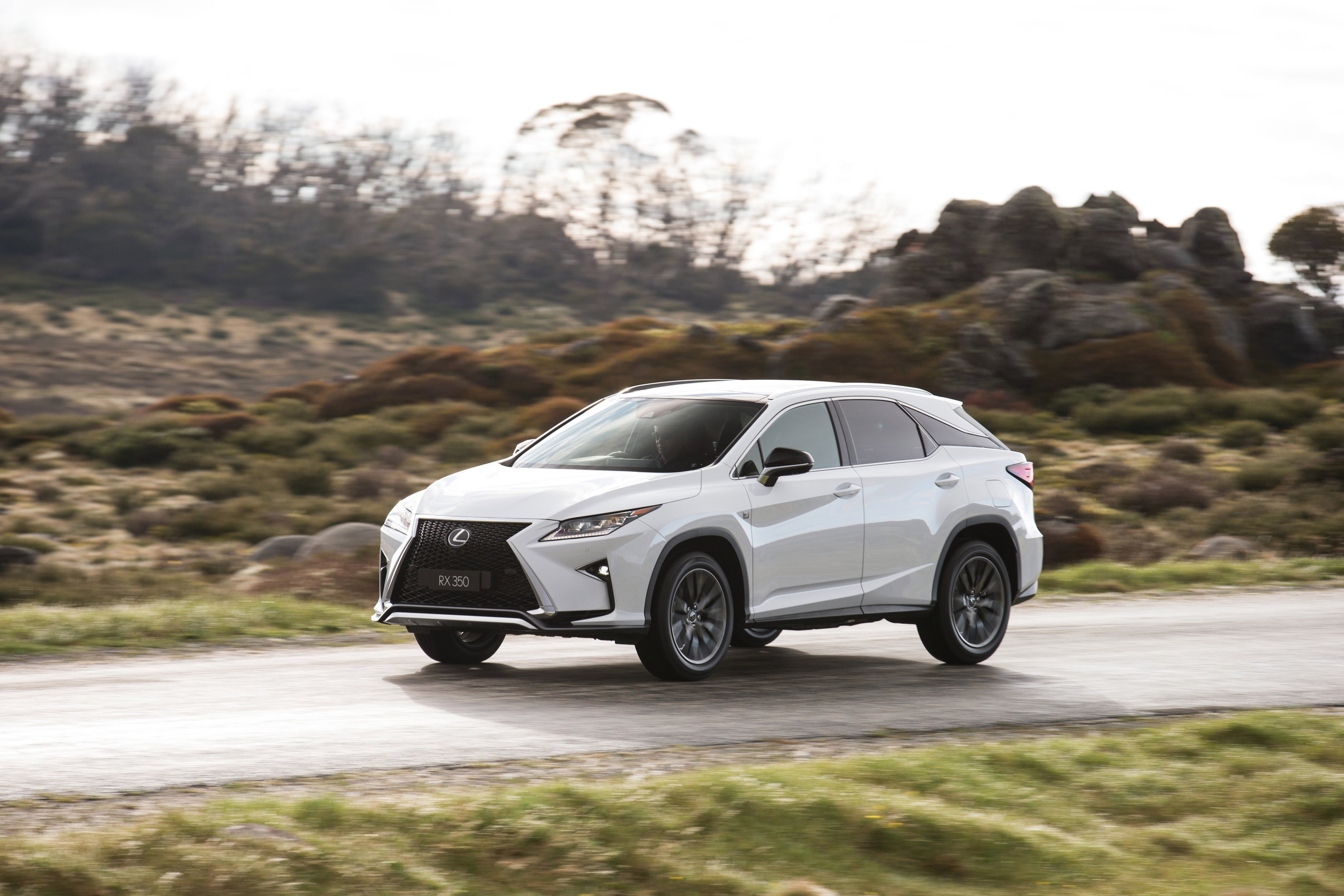 Lexus Rx photo 63