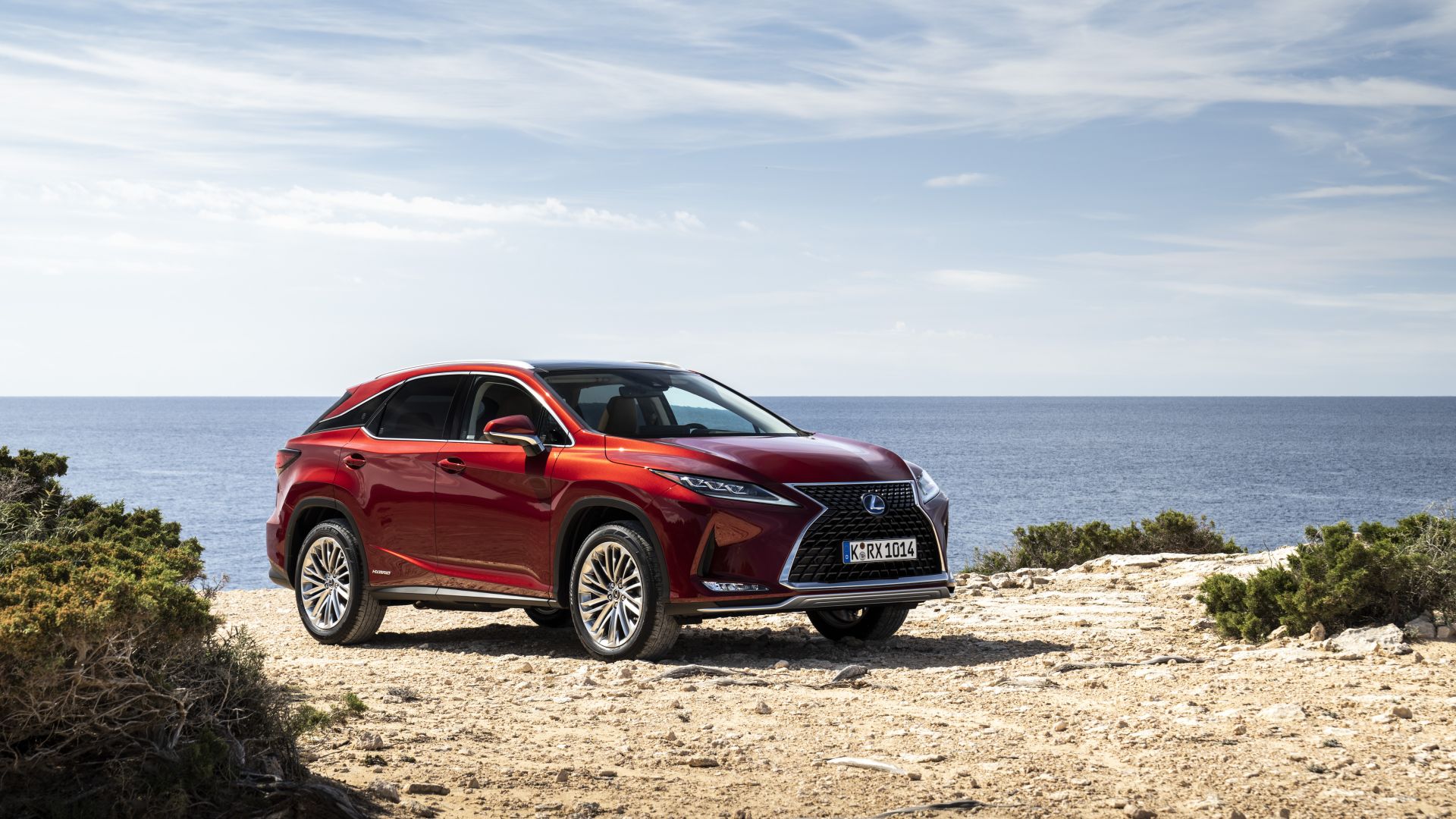 Lexus Rx photo 114