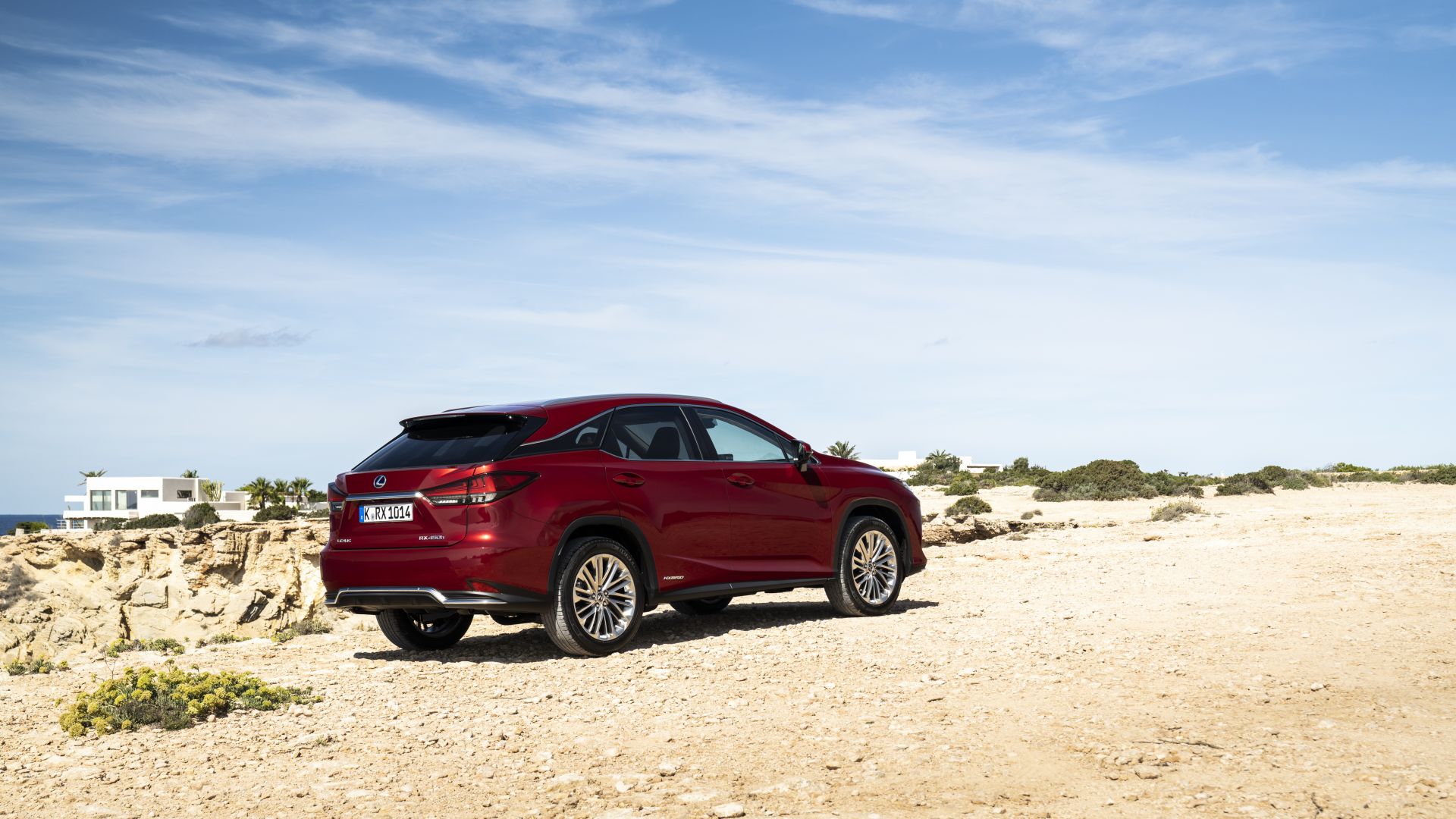 Lexus Rx photo 118