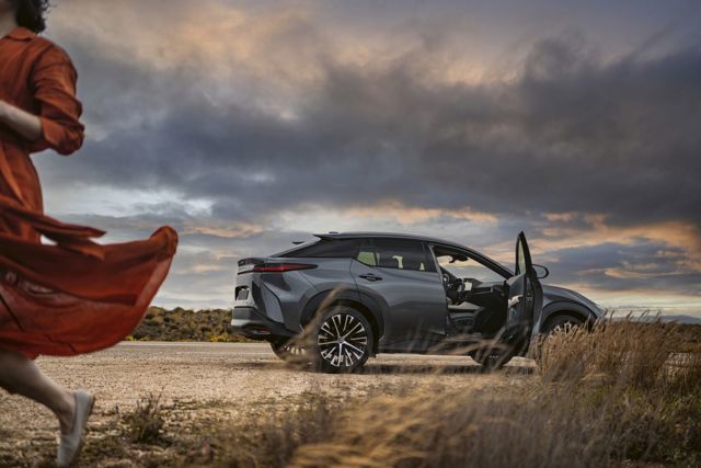 Lexus Rz photo 32