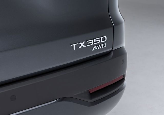 Lexus Tx photo 6