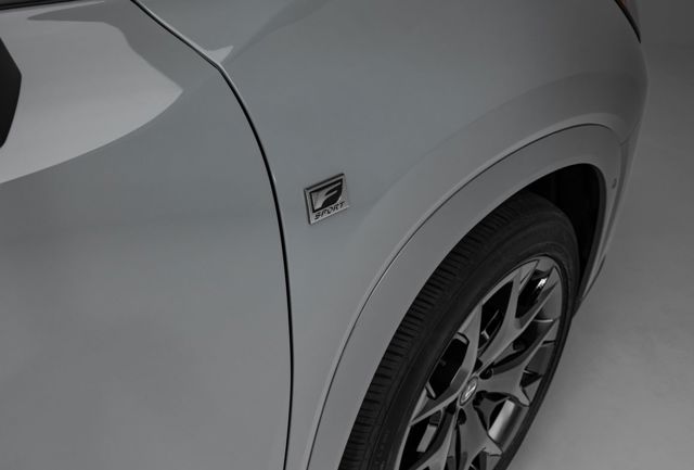 Lexus Tx photo 19