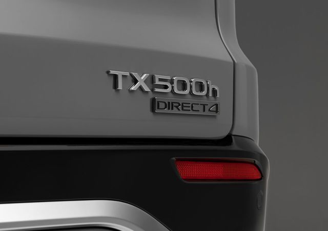 Lexus Tx photo 21