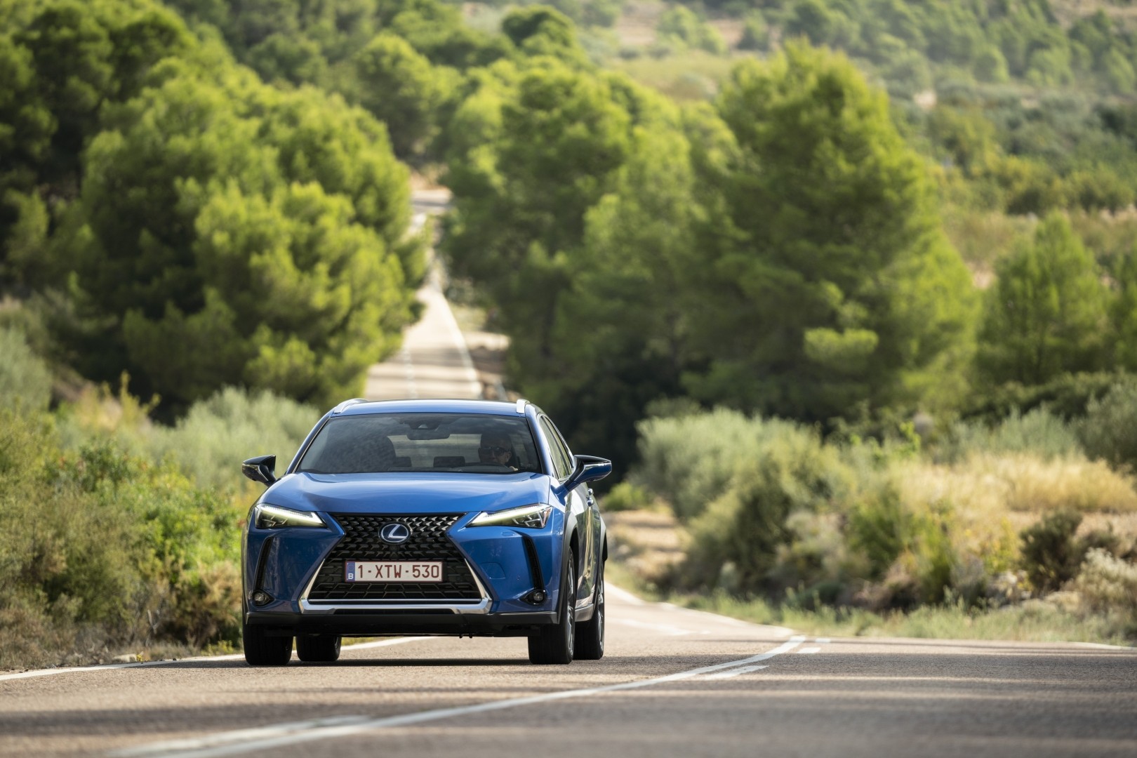Lexus Ux photo 46