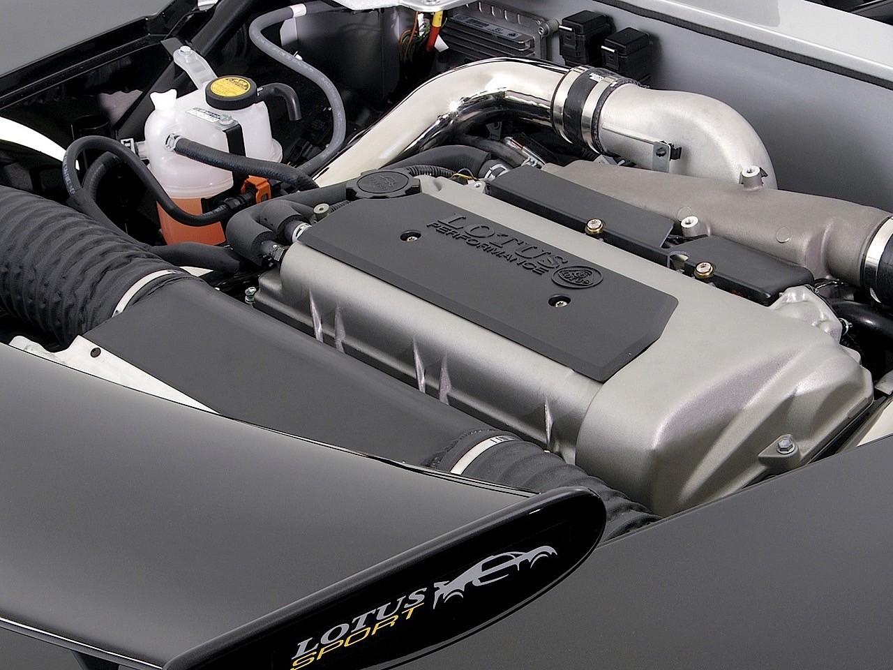 Lotus 2 Eleven photo 27