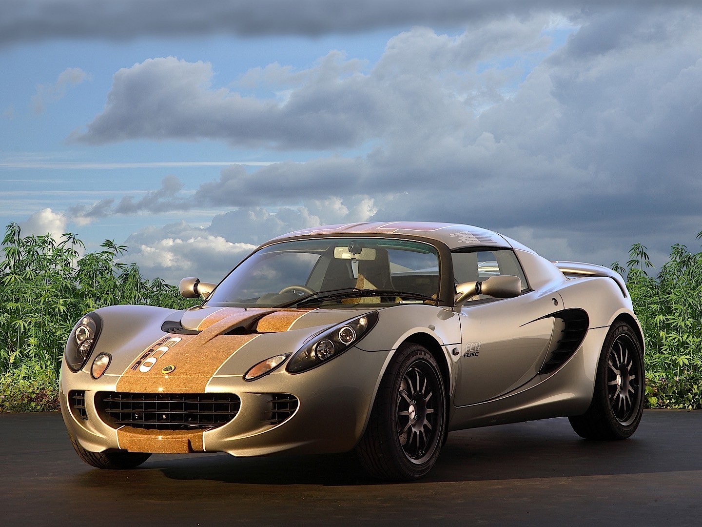 Lotus Elise photo 15