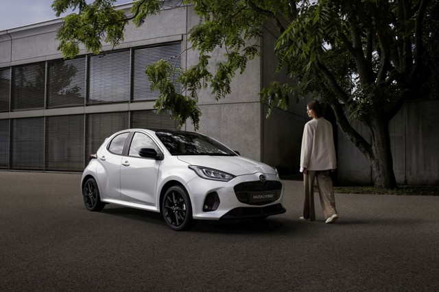 Mazda 2 / Demio photo 8