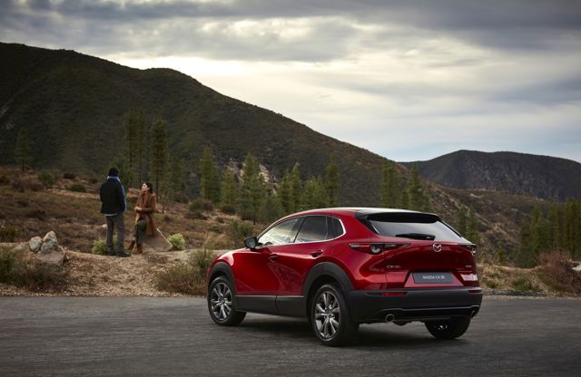 Mazda Cx-30 photo 18