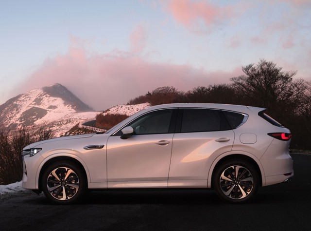 Mazda Cx-60 photo 26