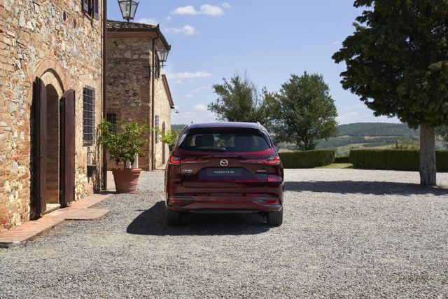 Mazda Cx-80 photo 19