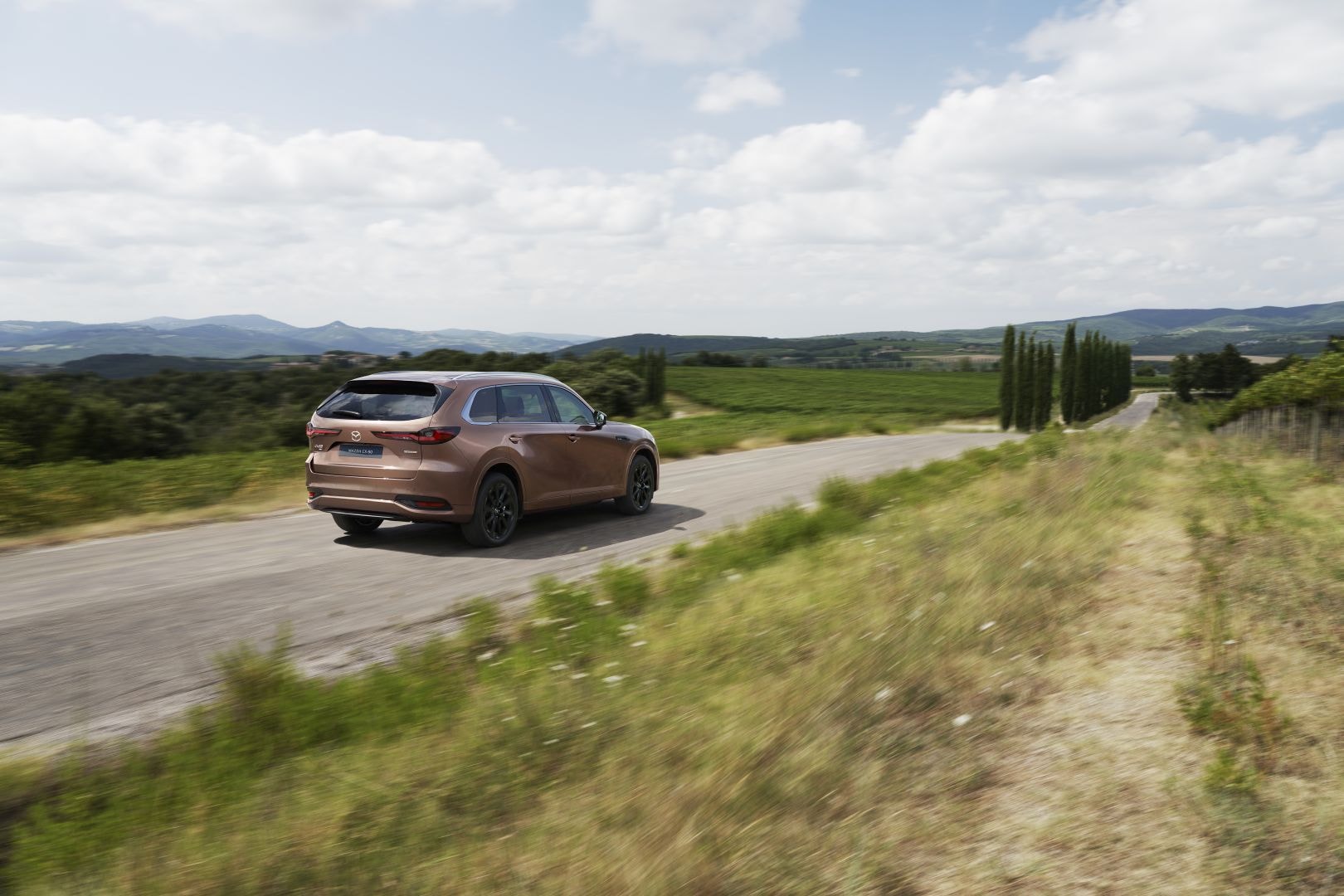 Mazda Cx-80 photo 36