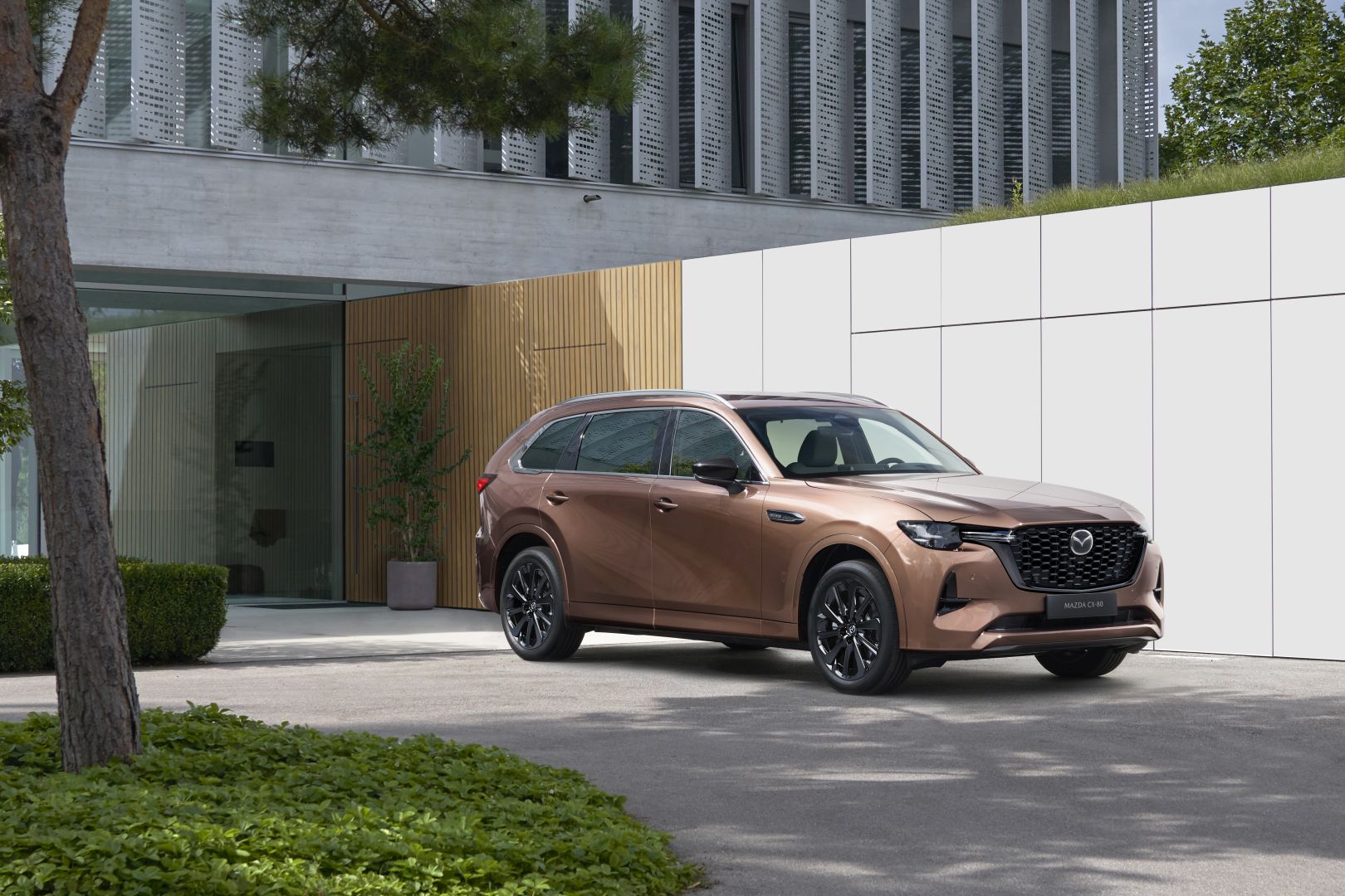 Mazda Cx-80 photo 41