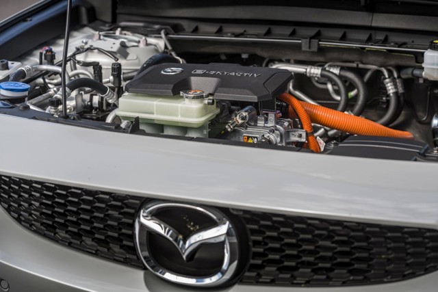 Mazda Mx-30 photo 173
