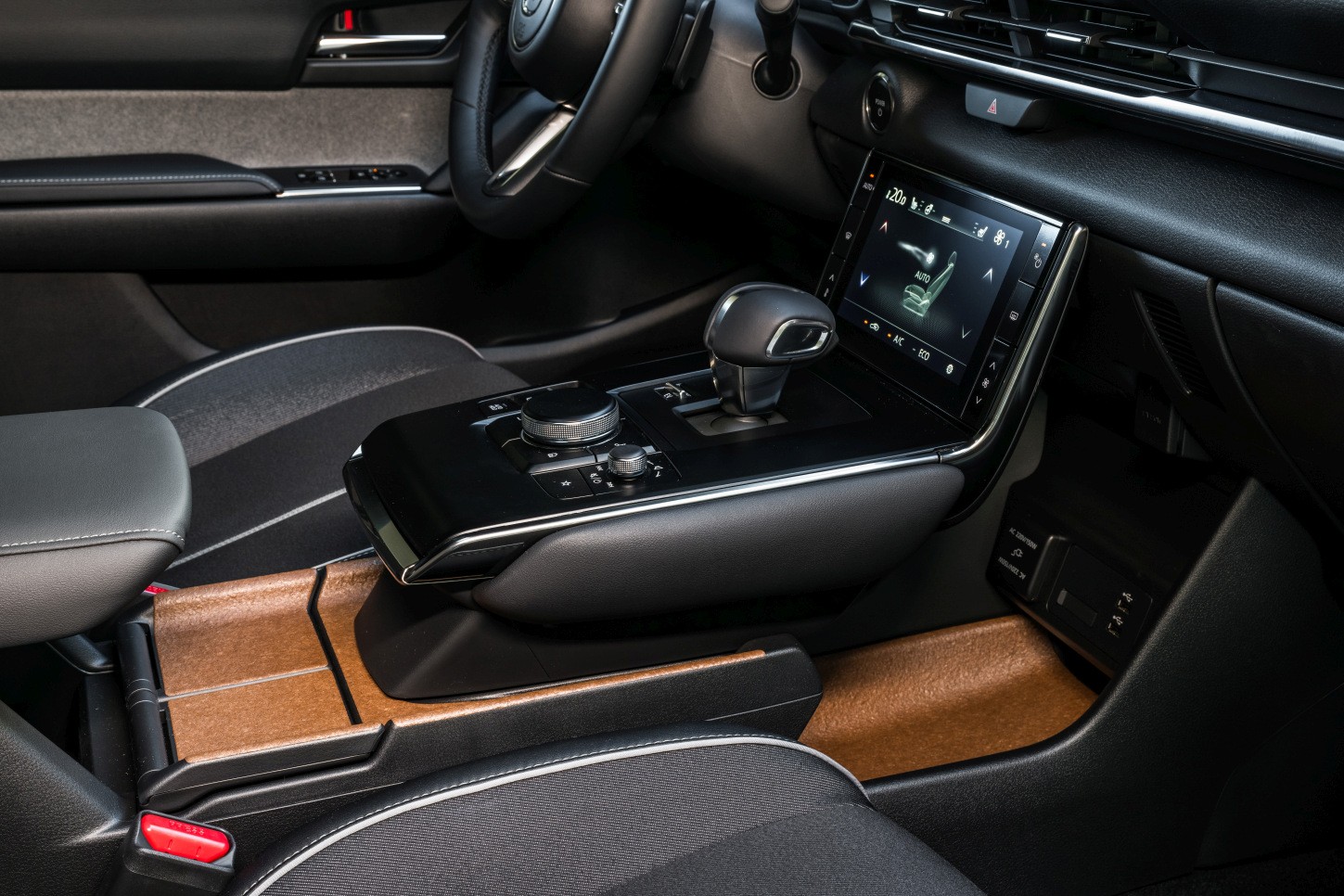 Mazda Mx-30 photo 159