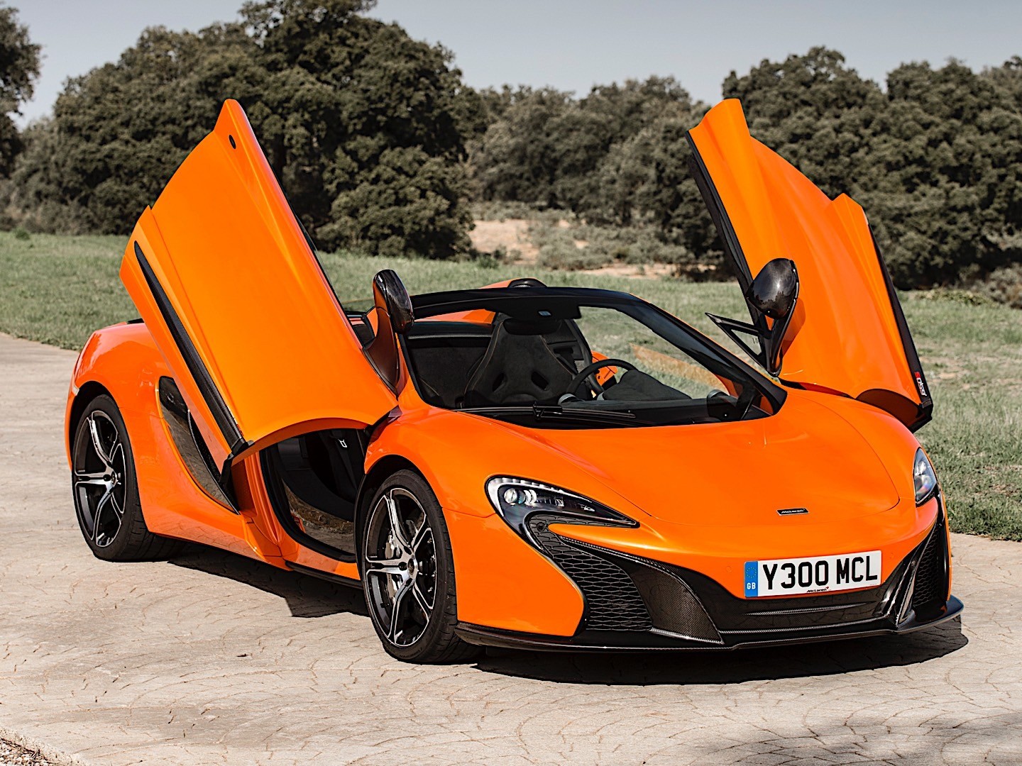 Mclaren 650S Spider photo 18