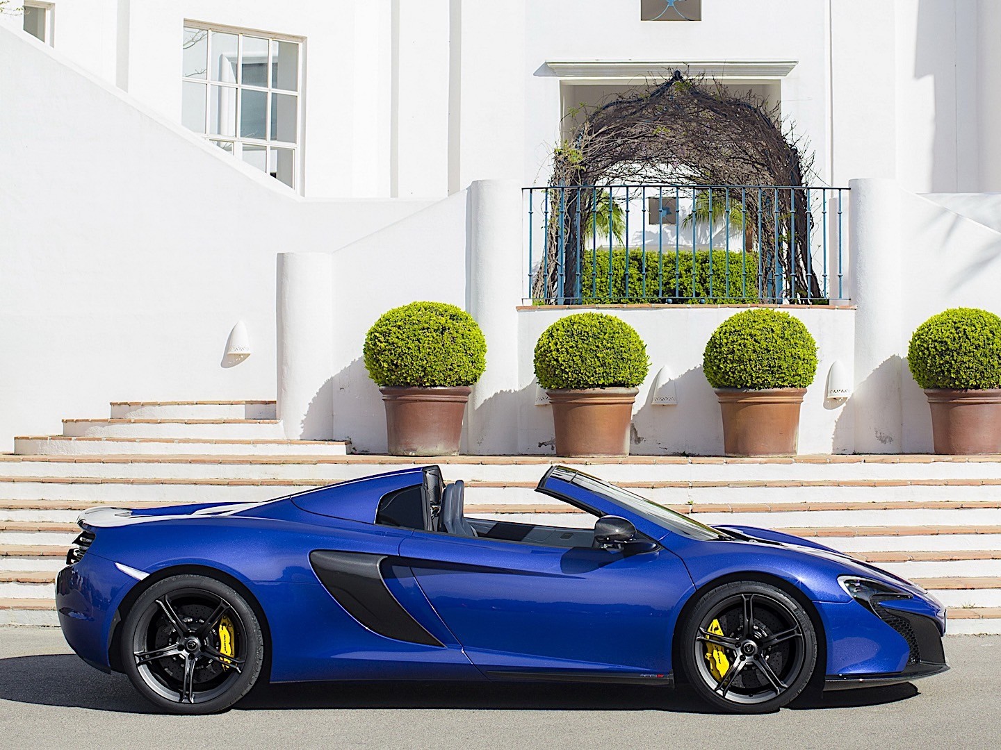 Mclaren 650S Spider photo 19