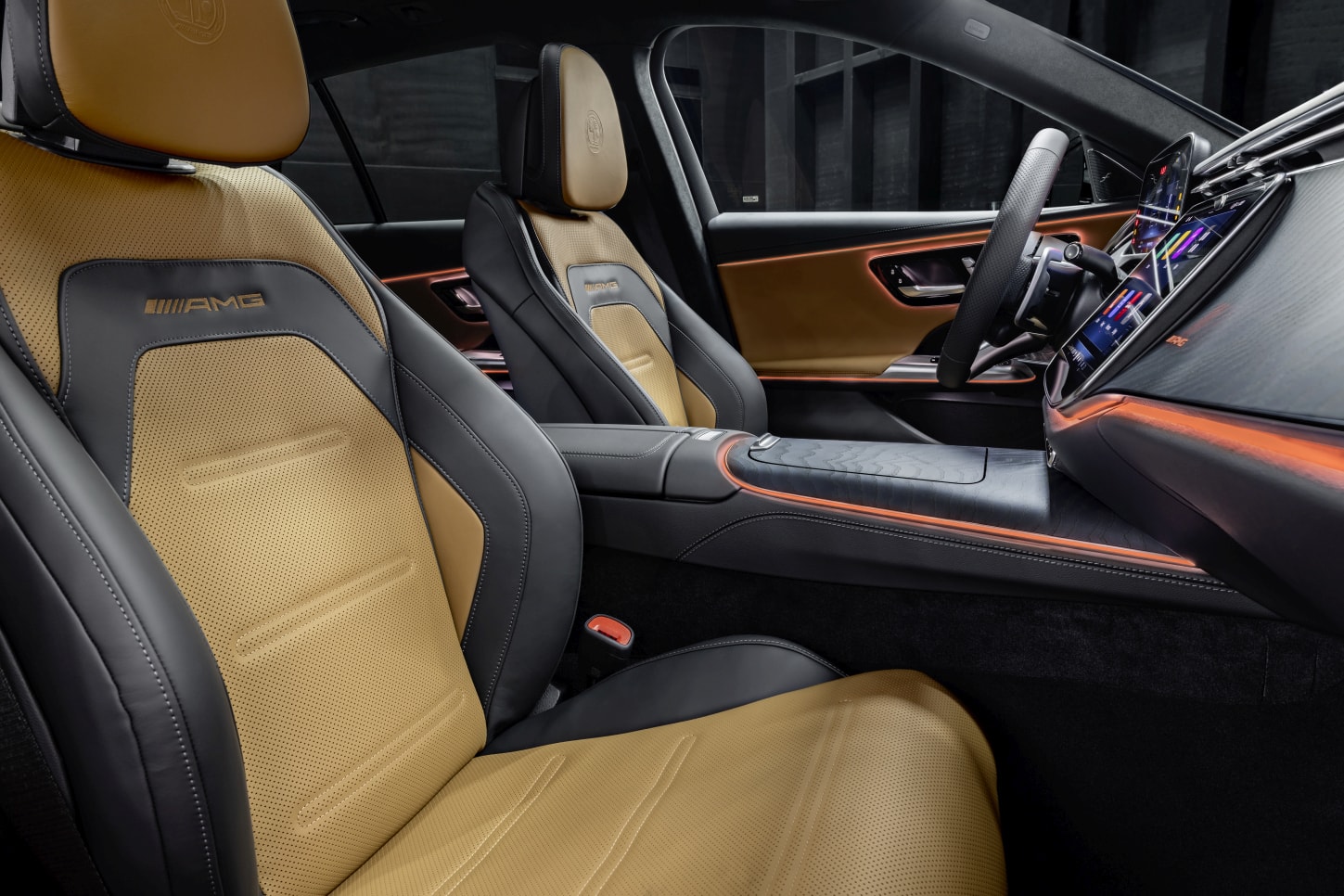 Mercedes-Amg E-Class Estate photo 27