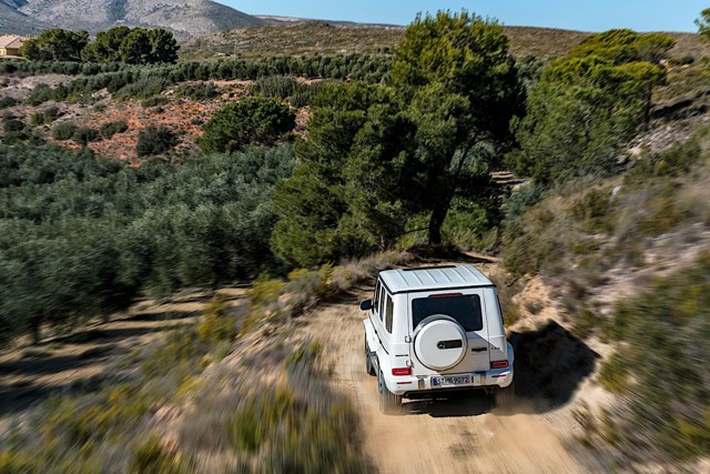Mercedes-Amg G 63 photo 26