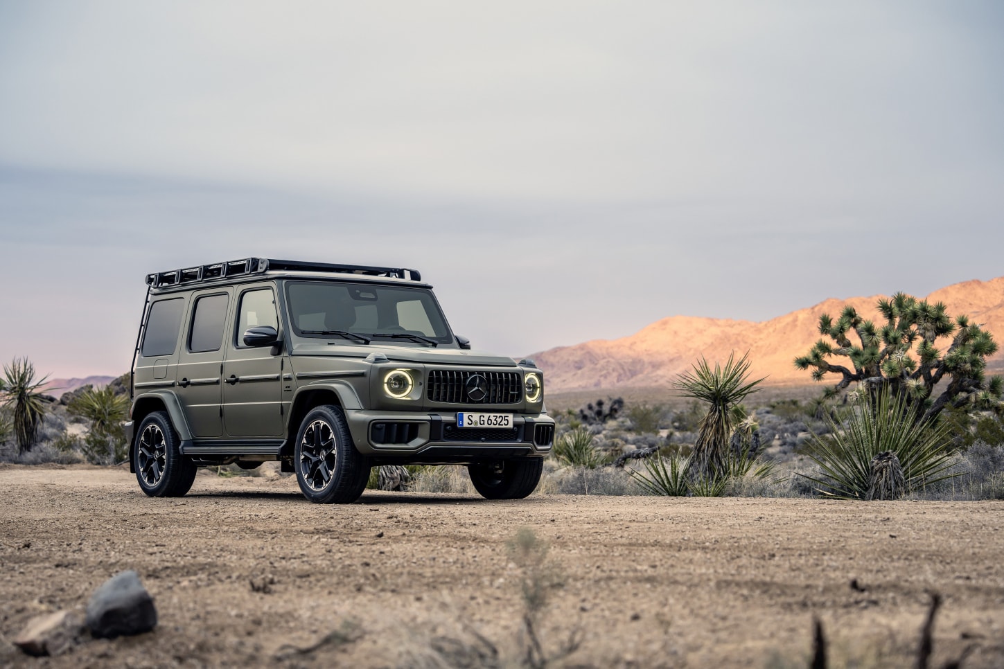 Mercedes-Amg G 63 photo 13