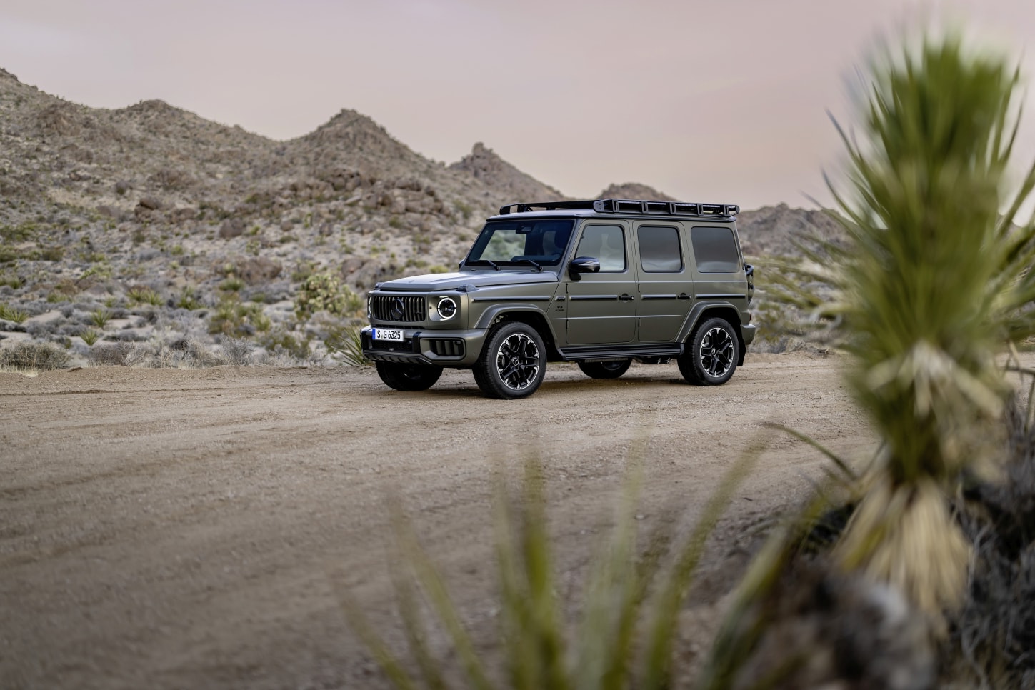 Mercedes-Amg G 63 photo 14