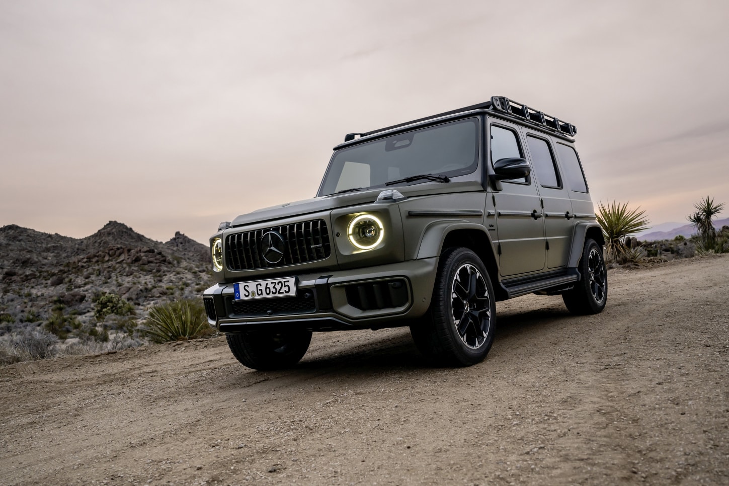 Mercedes-Amg G 63 photo 15