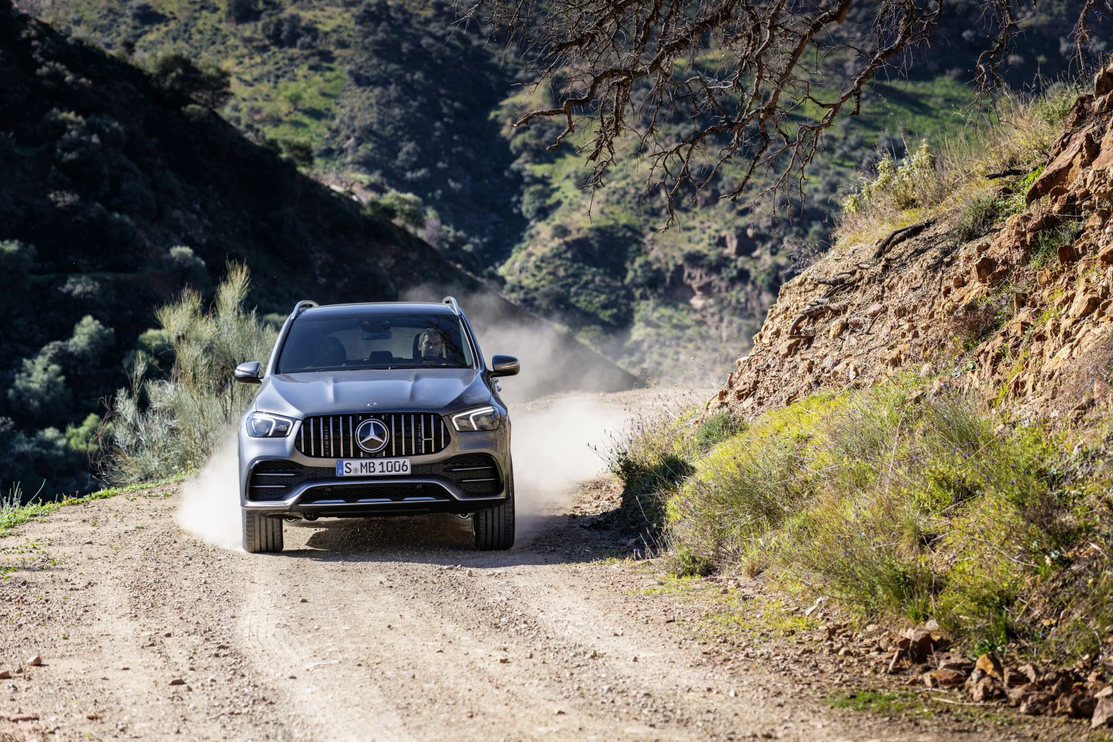 Mercedes-Amg Gle photo 12