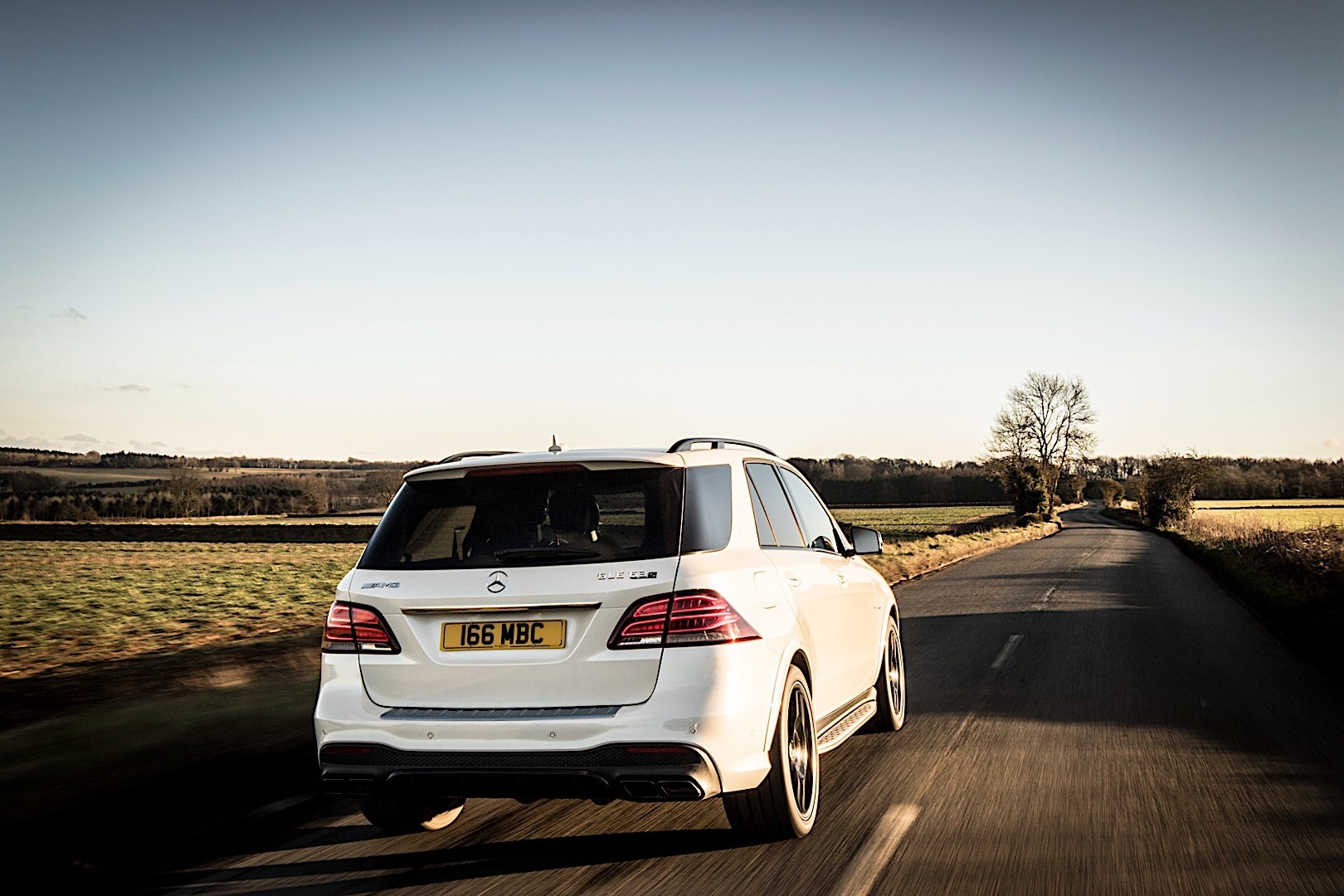 Mercedes-Amg Gle photo 19
