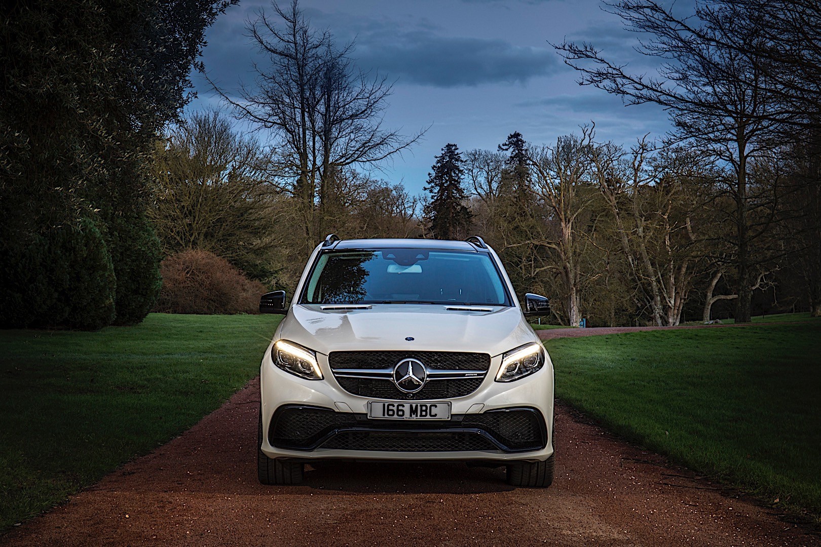 Mercedes-Amg Gle photo 23
