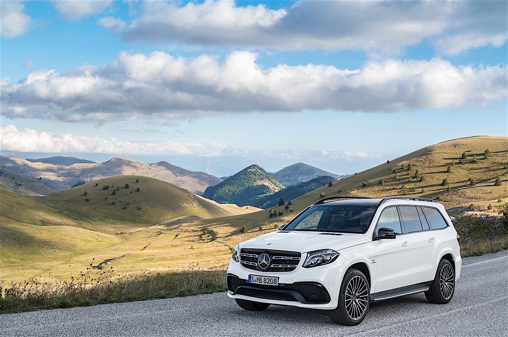 Mercedes-Amg Gls- Class photo 29