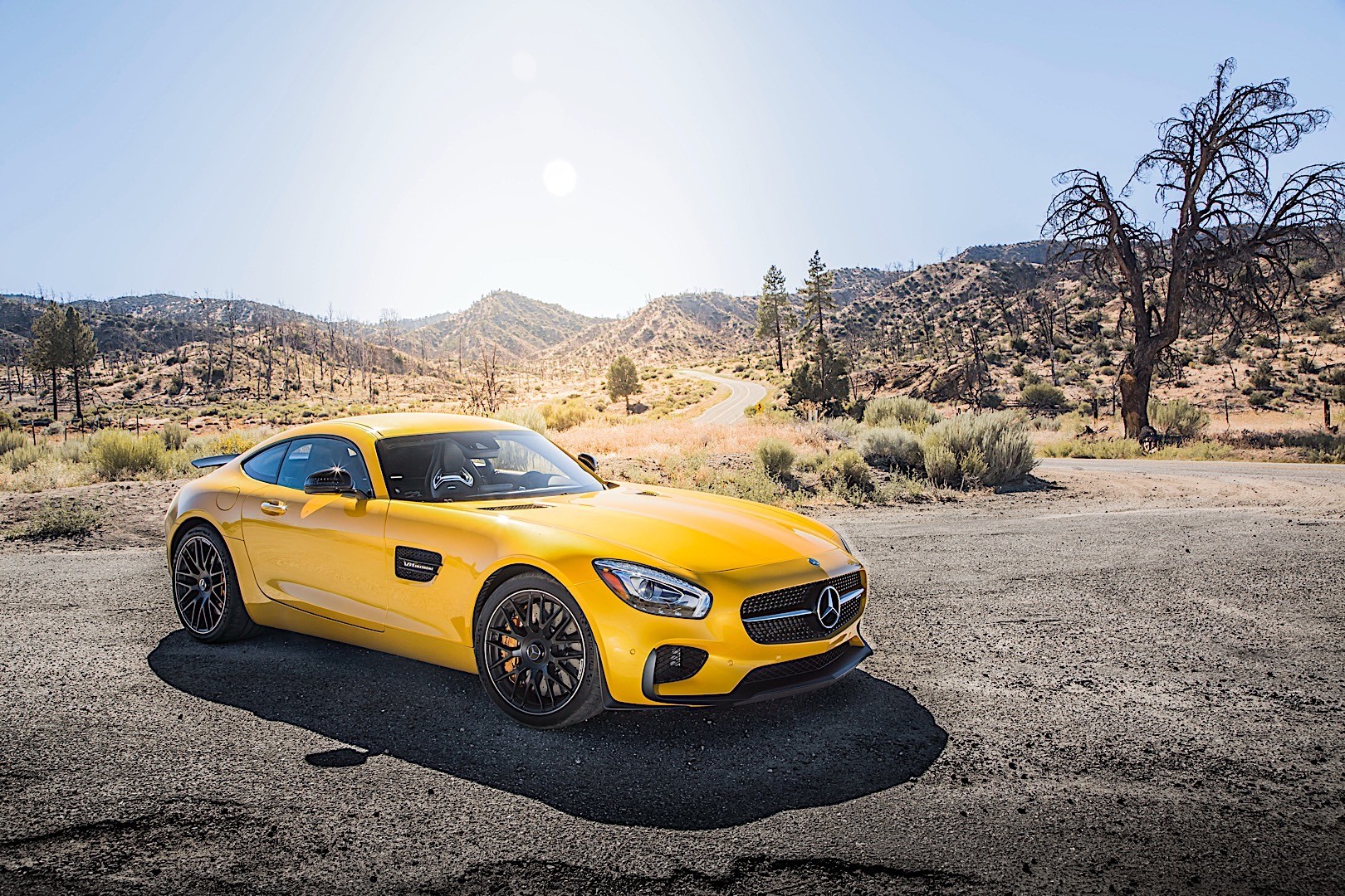 Mercedes-Amg Gt Coupe photo 47