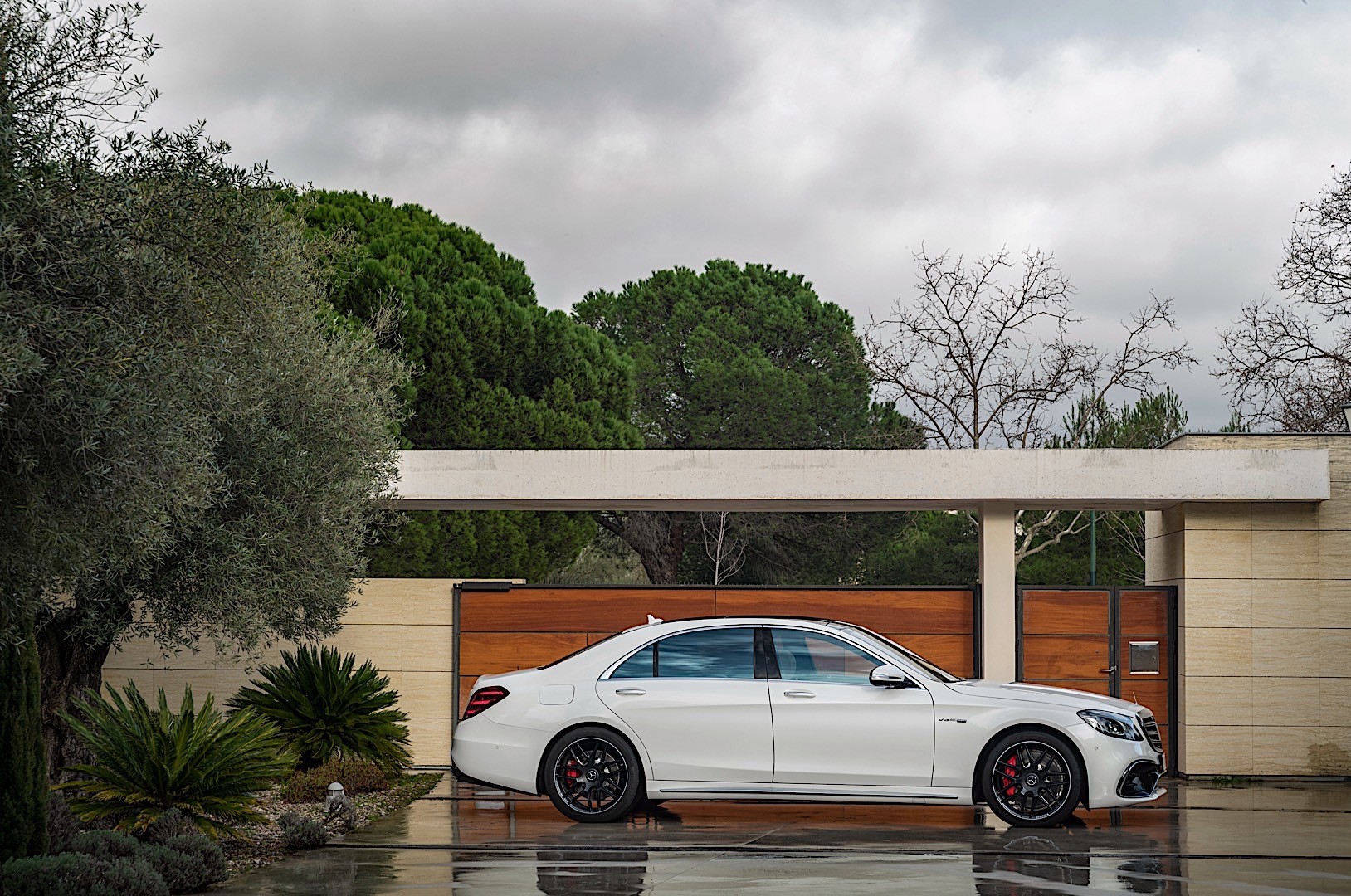 Mercedes-Amg S-Class photo 17