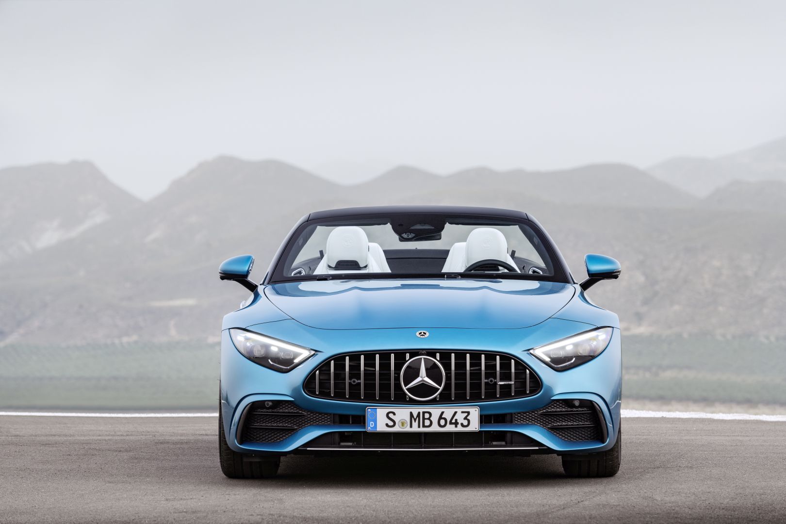 Mercedes-Amg Sl-Class photo 136