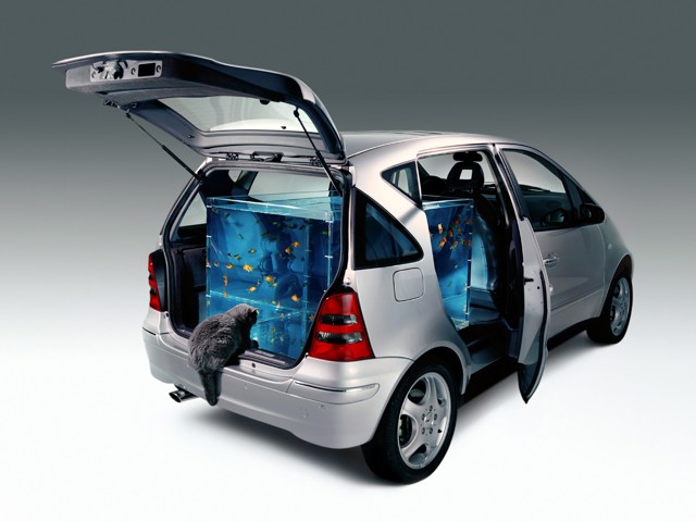 Mercedes Benz A-Klasse photo 32