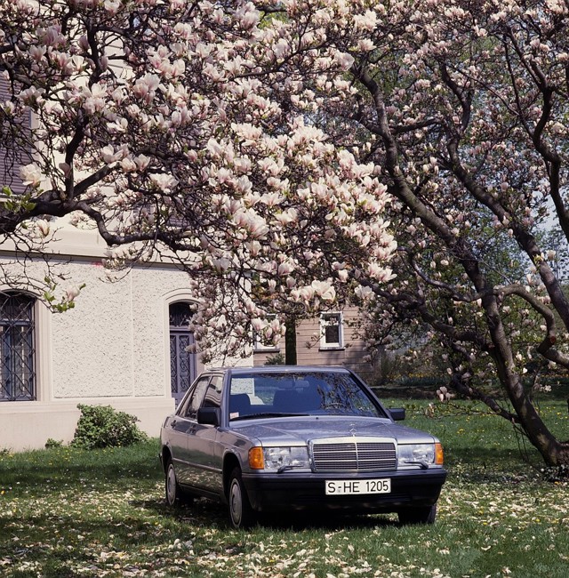 Mercedes Benz C-Klasse And Predecessors photo 10
