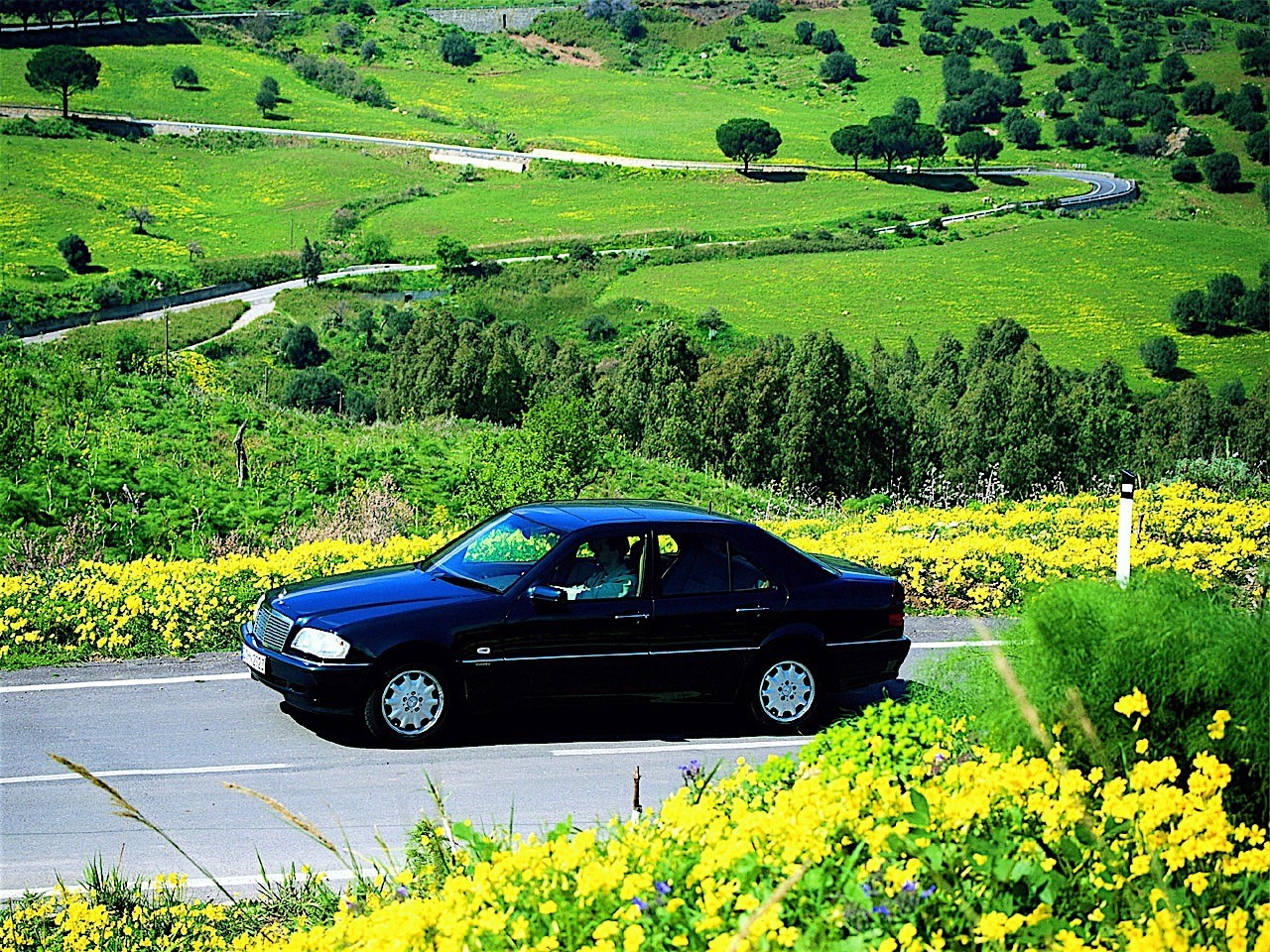 Mercedes Benz C-Klasse And Predecessors photo 8