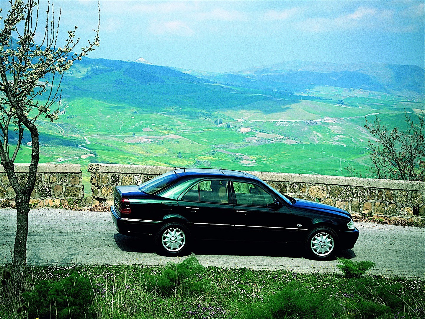 Mercedes Benz C-Klasse And Predecessors photo 4