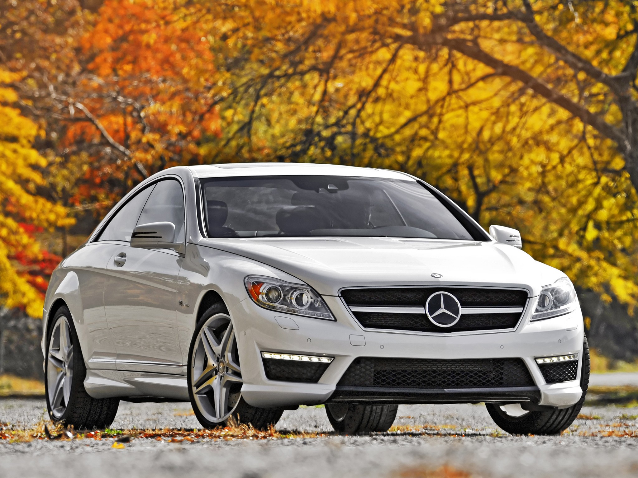 Mercedes Benz Cl Amg photo 42