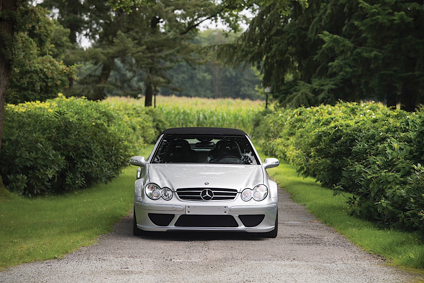 Mercedes Benz Clk Amg photo 15